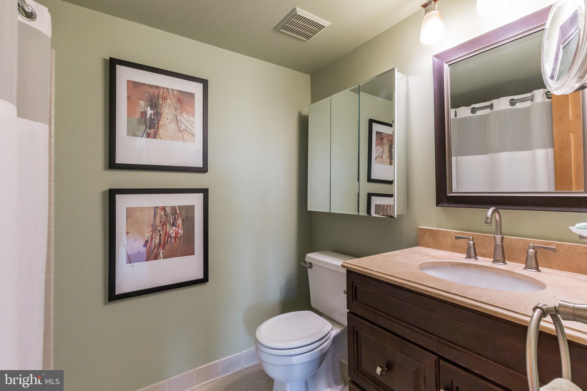 11115 Watermans Drive Reston, VA 20191 - Photo 20 of 42 Master Bathroom