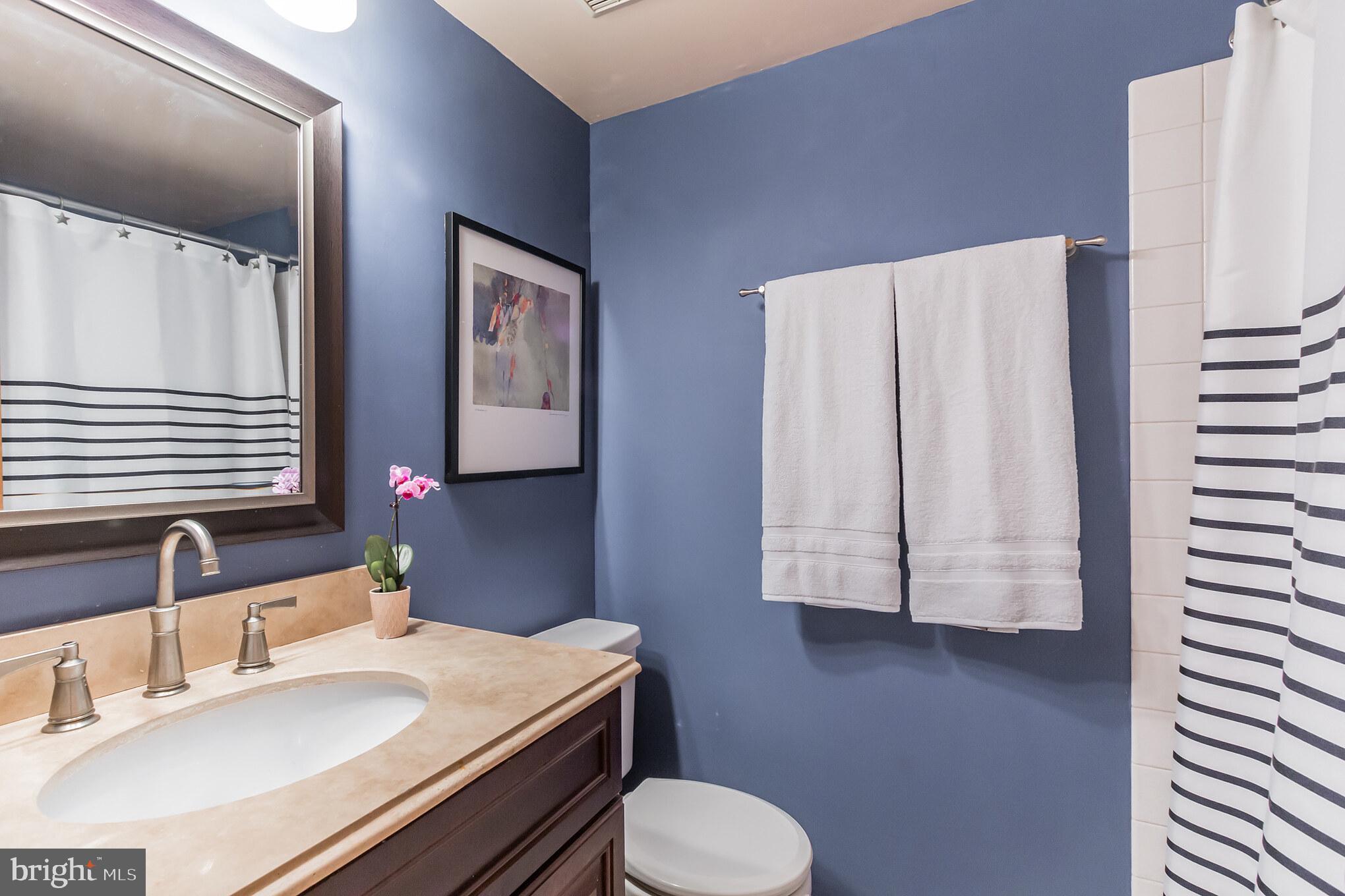 11115 Watermans Drive Reston, VA 20191 - Photo 23 of 42 Full Bathroom
