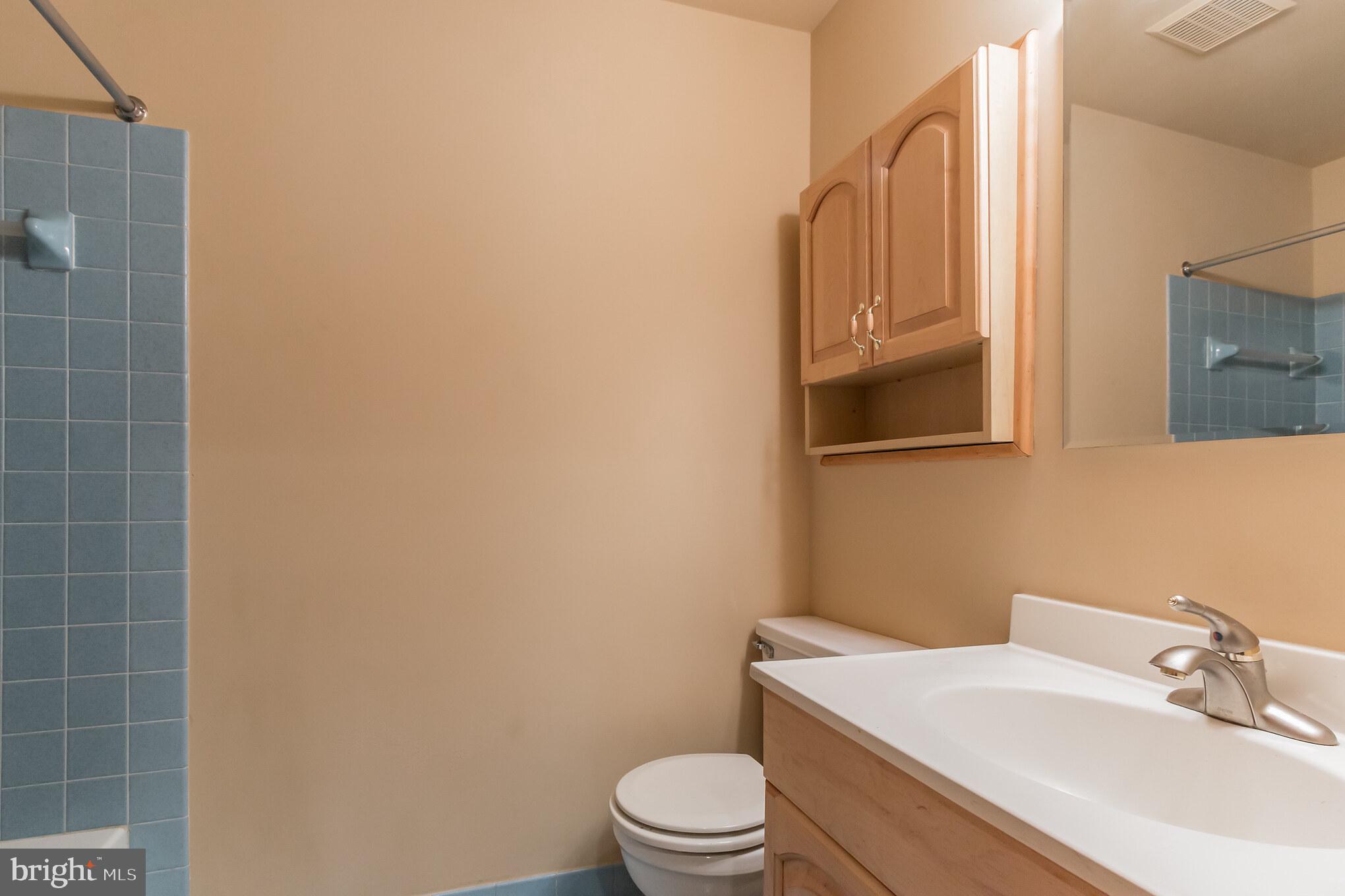 11115 Watermans Drive Reston, VA 20191 - Photo 24 of 42 Lower Level Full Bathroom