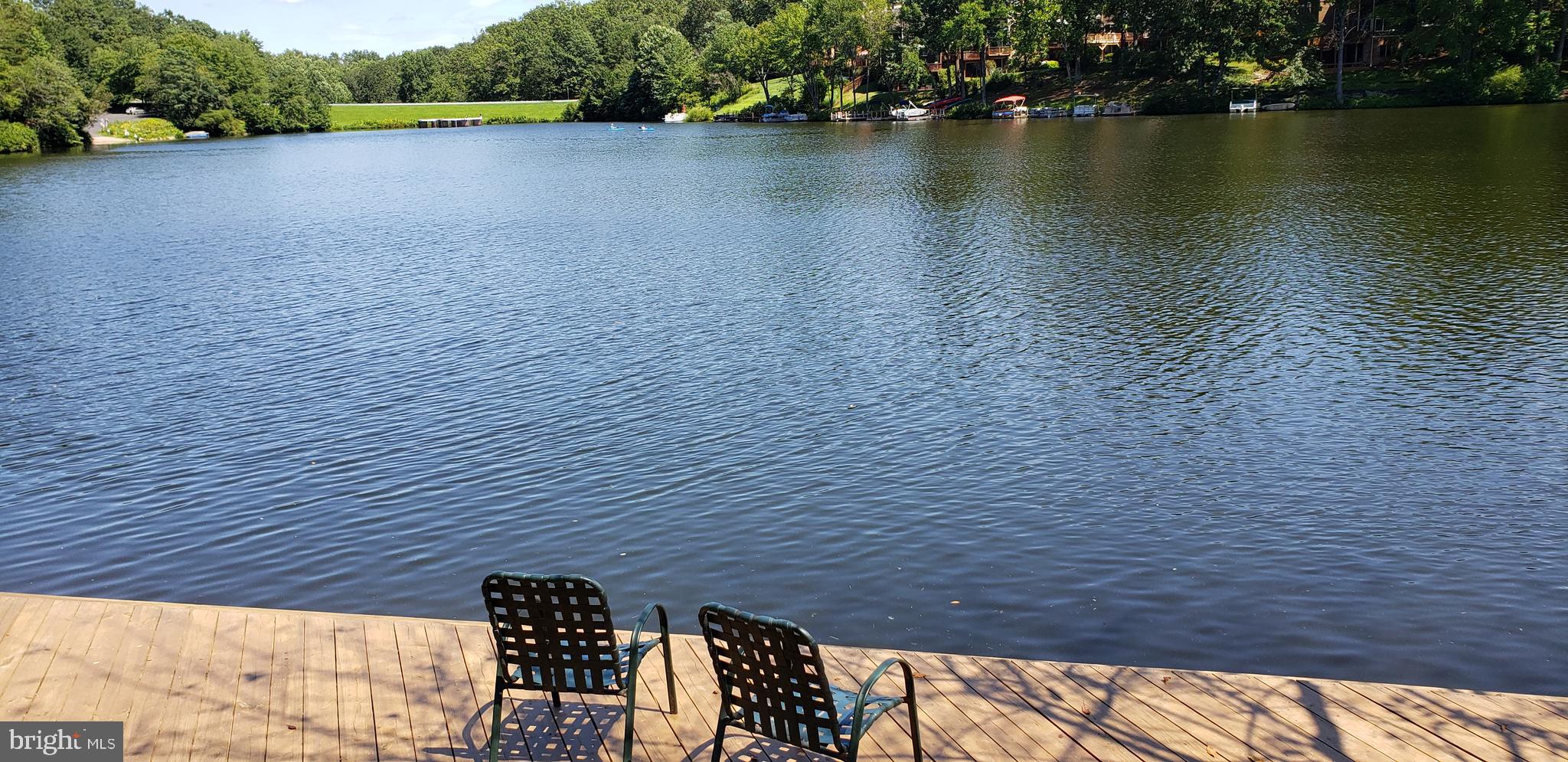 11115 Watermans Drive Reston, VA 20191 - Photo 37 of 42 Lake Audubon