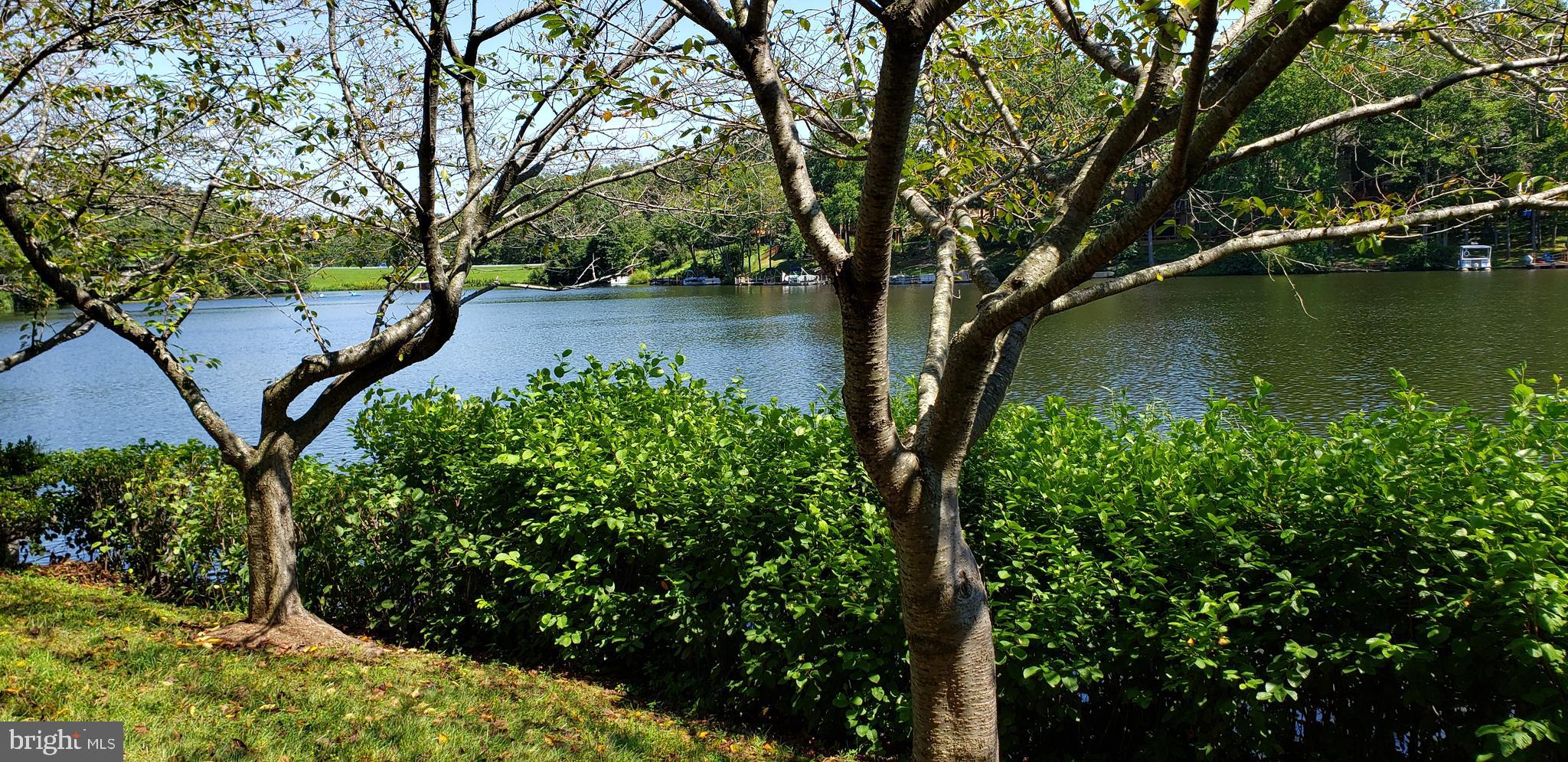 11115 Watermans Drive Reston, VA 20191 - Photo 38 of 42 Lake Audubon