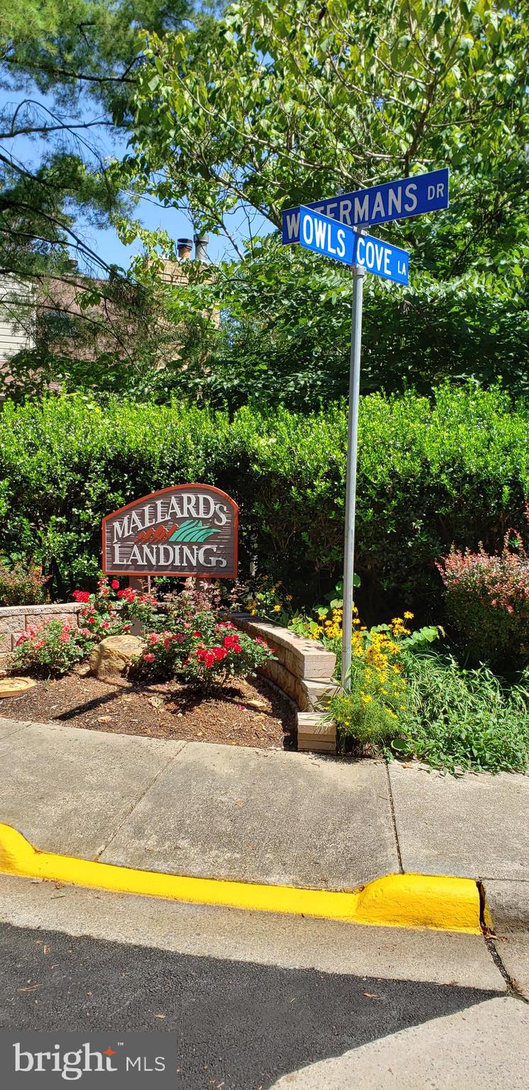 11115 Watermans Drive Reston, VA 20191 - Photo 39 of 42 Mallards Landing