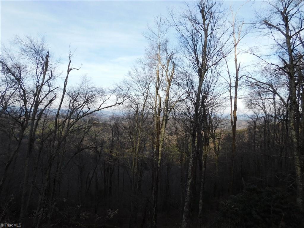 Tbd Air Bellows Gap Road Sparta, NC 28675 - Photo 1 of 19 Long Range View