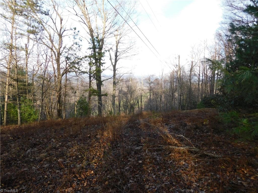 Tbd Air Bellows Gap Road Sparta, NC 28675 - Photo 3 of 19 Gallery Image 3
