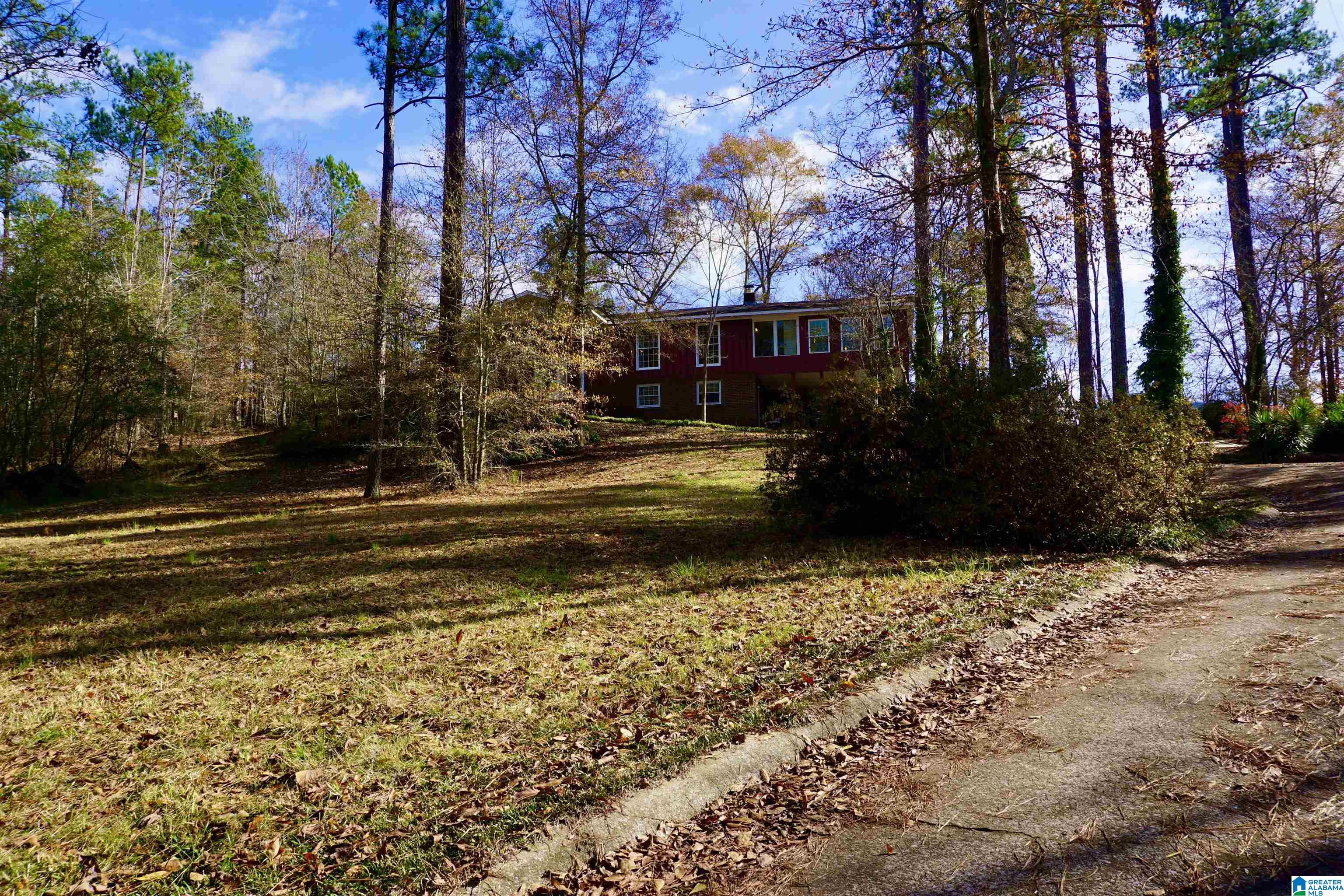 816 Pine Ridge Road Wellington, AL 36279 - Photo 2 of 71
