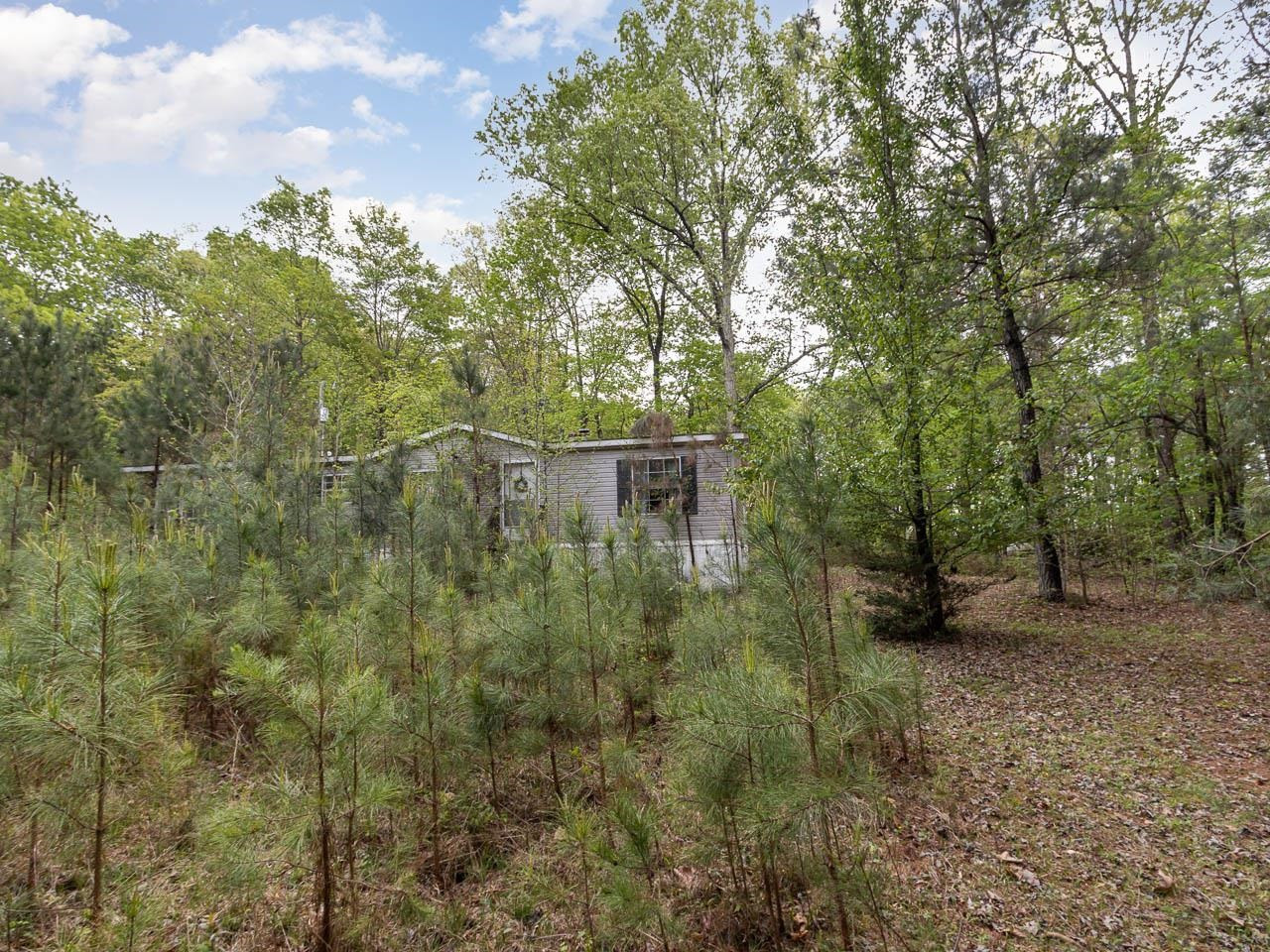 220 Alvis Alston Road Pittsboro, NC 27312 - Photo 19 of 25 Photo 19