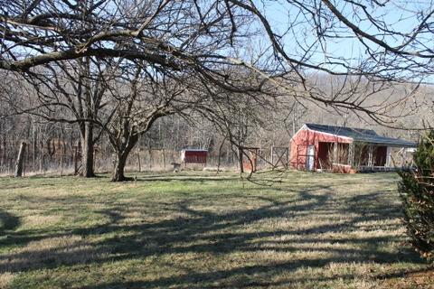 1941 Shady Run Road Vinton, VA 24179 - Photo 11 of 11 yard
