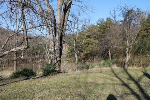 1941 Shady Run Road Vinton, VA 24179 - Photo 9 of 11 Yard