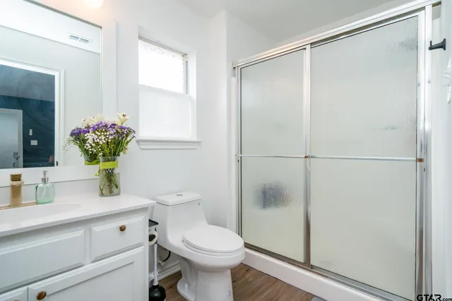 a bathroom with a sink mirror vanity and toilet