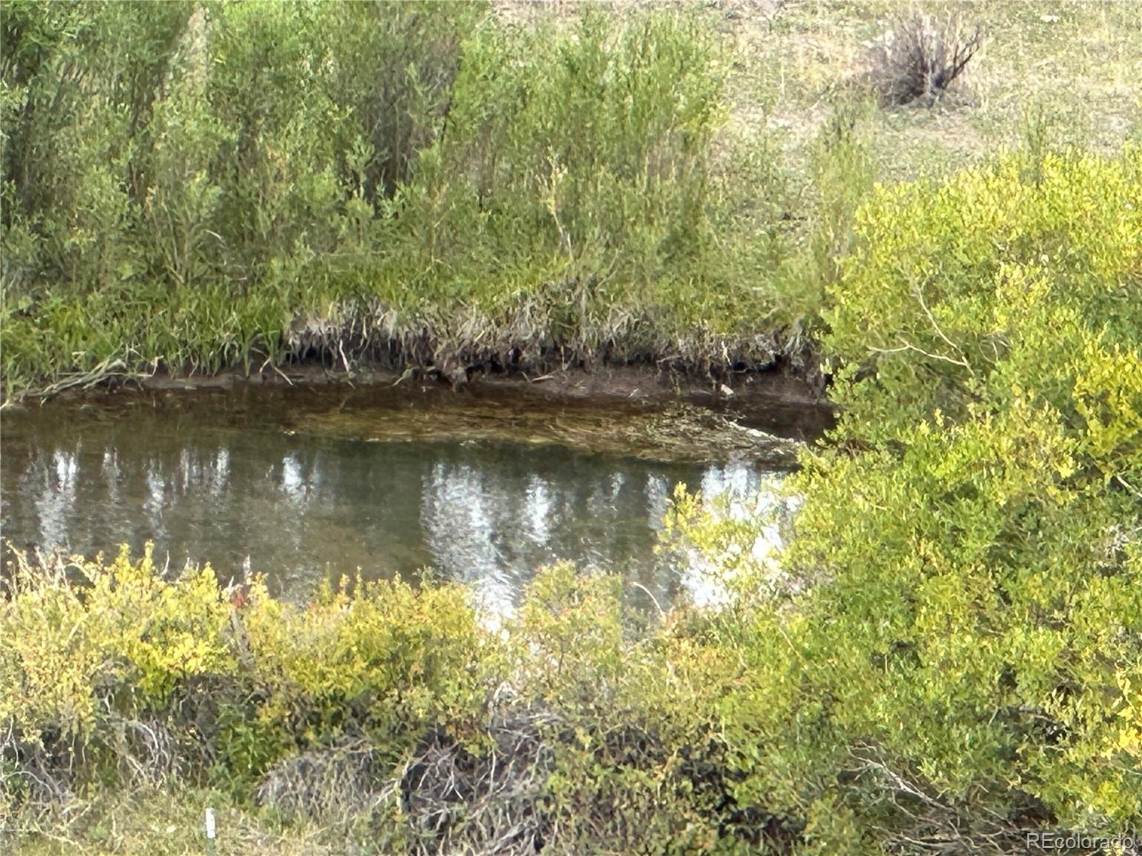 Bare Trail Fairplay, CO 80440 - Photo 21 of 39