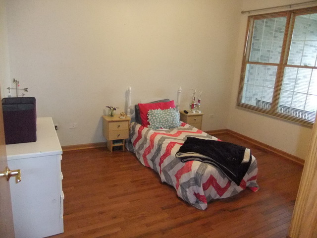 19242 104th Avenue Mokena, IL 60448 - Photo 11 of 18