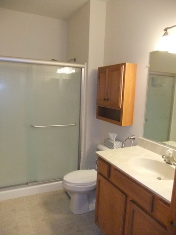 19242 104th Avenue Mokena, IL 60448 - Photo 13 of 18