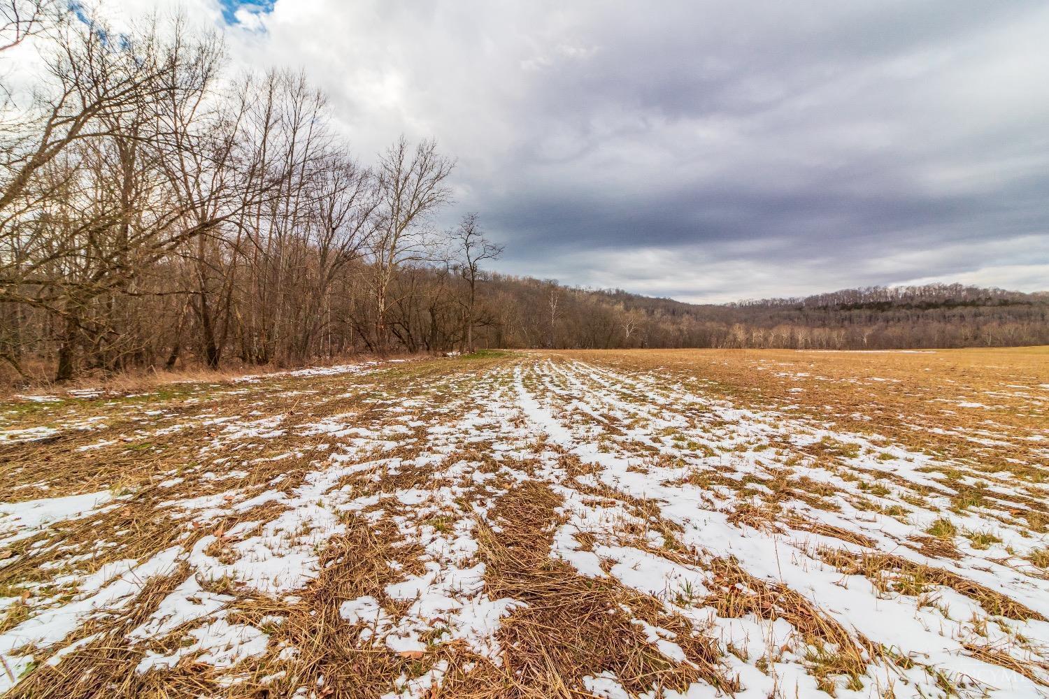 1448 Lawshe Road Peebles, OH 45660 - Photo 43 of 50 Gallery Image 43