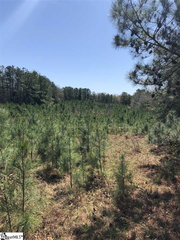 423 Free Bridge Road Ware Shoals, SC 29692 - Photo 14 of 17