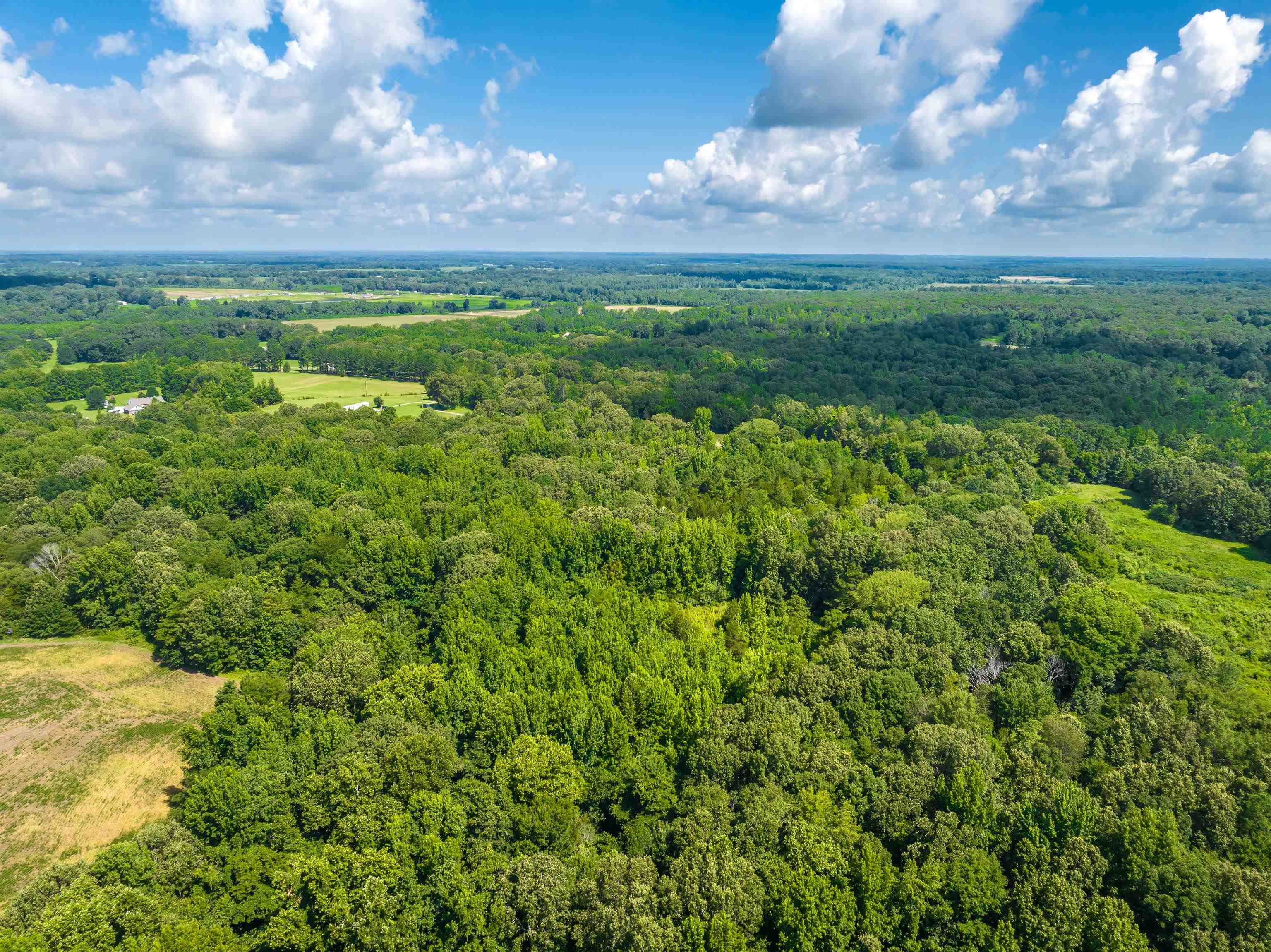 0 Jim Hardister Road Whiteville, TN 38075 - Photo 11 of 22