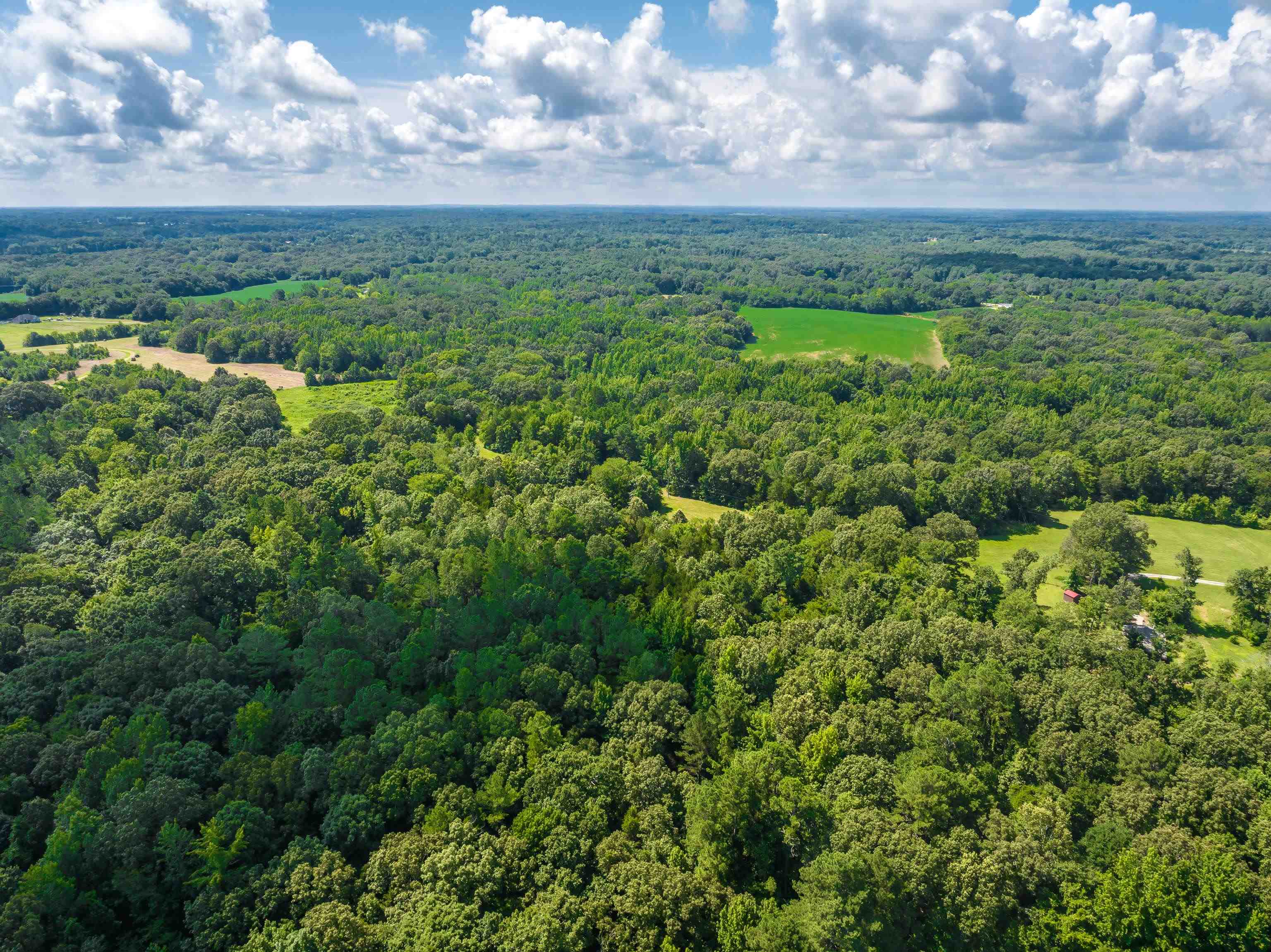 0 Jim Hardister Road Whiteville, TN 38075 - Photo 12 of 22