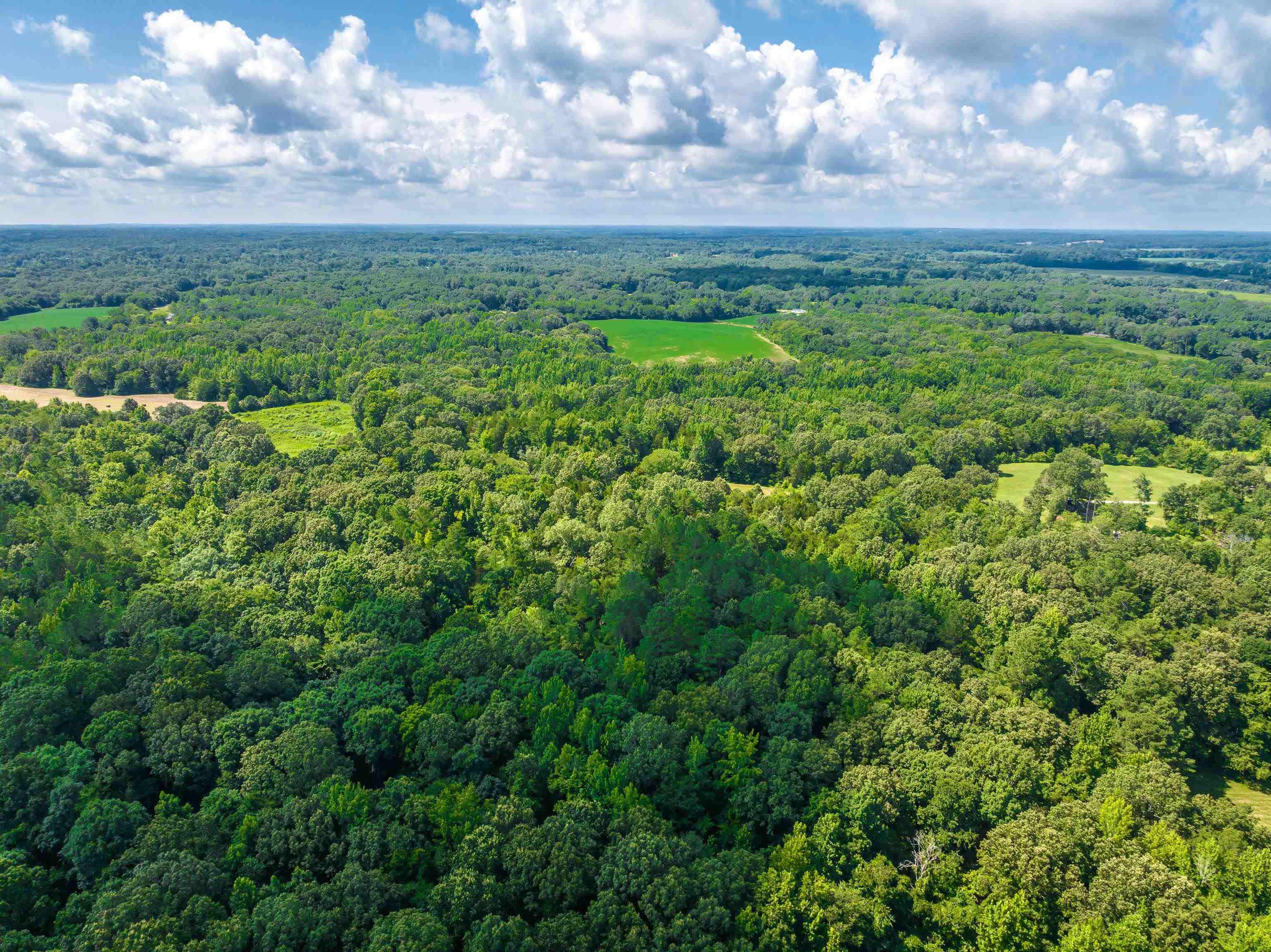 0 Jim Hardister Road Whiteville, TN 38075 - Photo 13 of 22