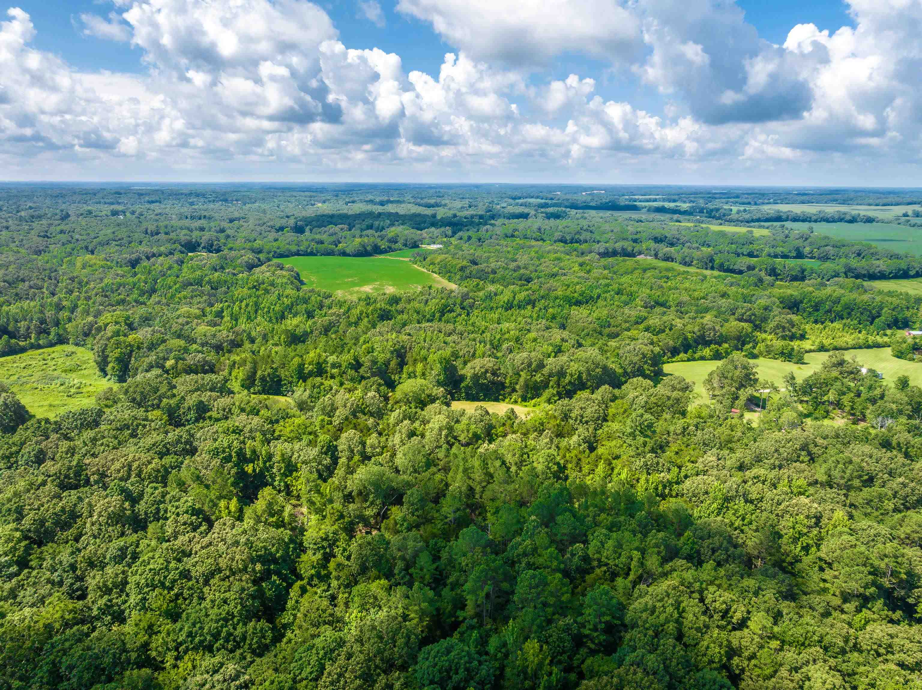 0 Jim Hardister Road Whiteville, TN 38075 - Photo 14 of 22