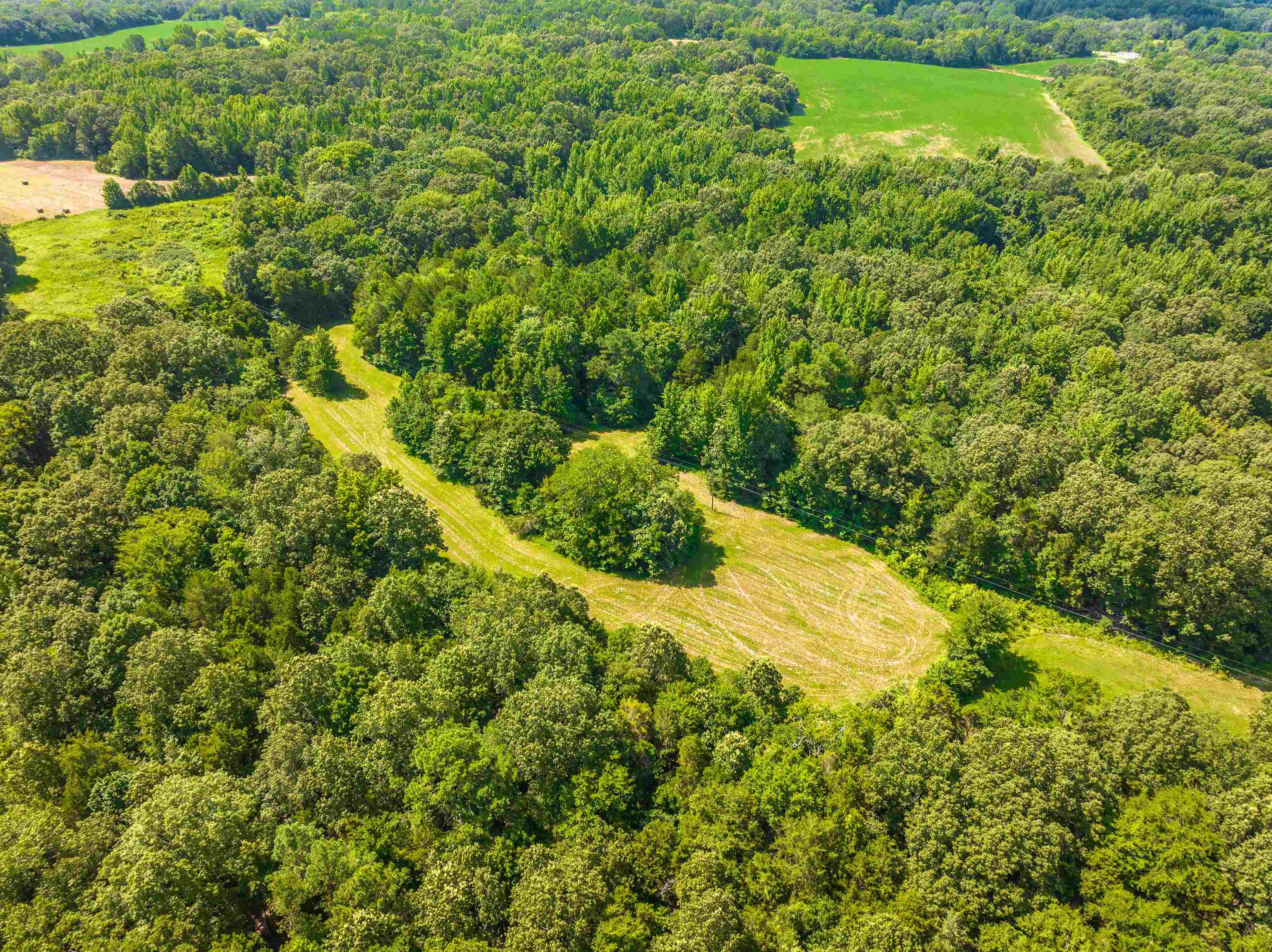 0 Jim Hardister Road Whiteville, TN 38075 - Photo 15 of 22