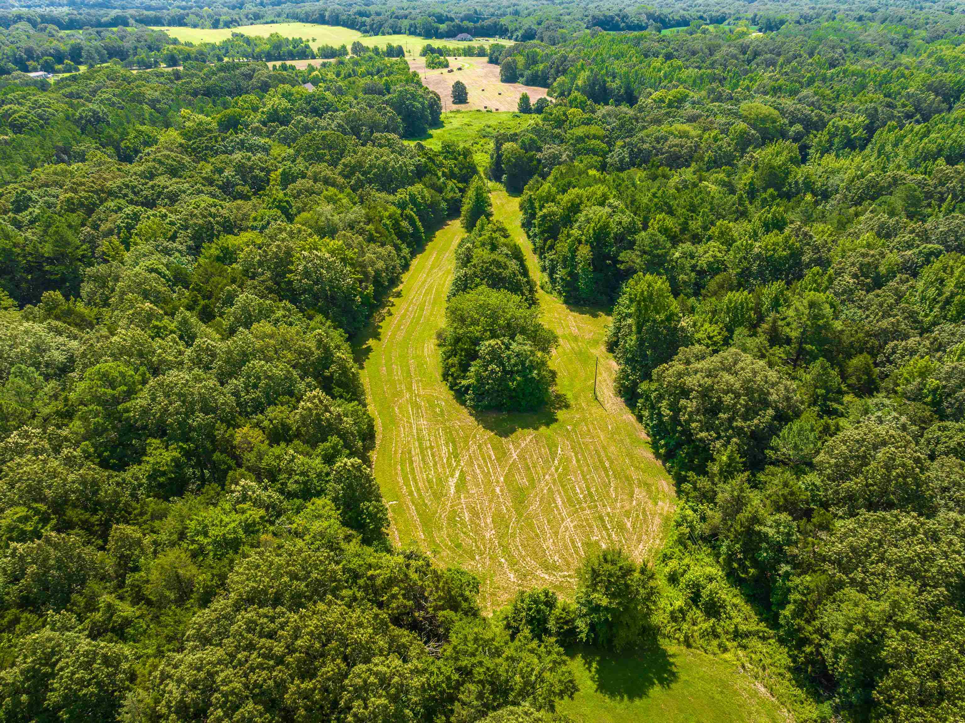 0 Jim Hardister Road Whiteville, TN 38075 - Photo 16 of 22