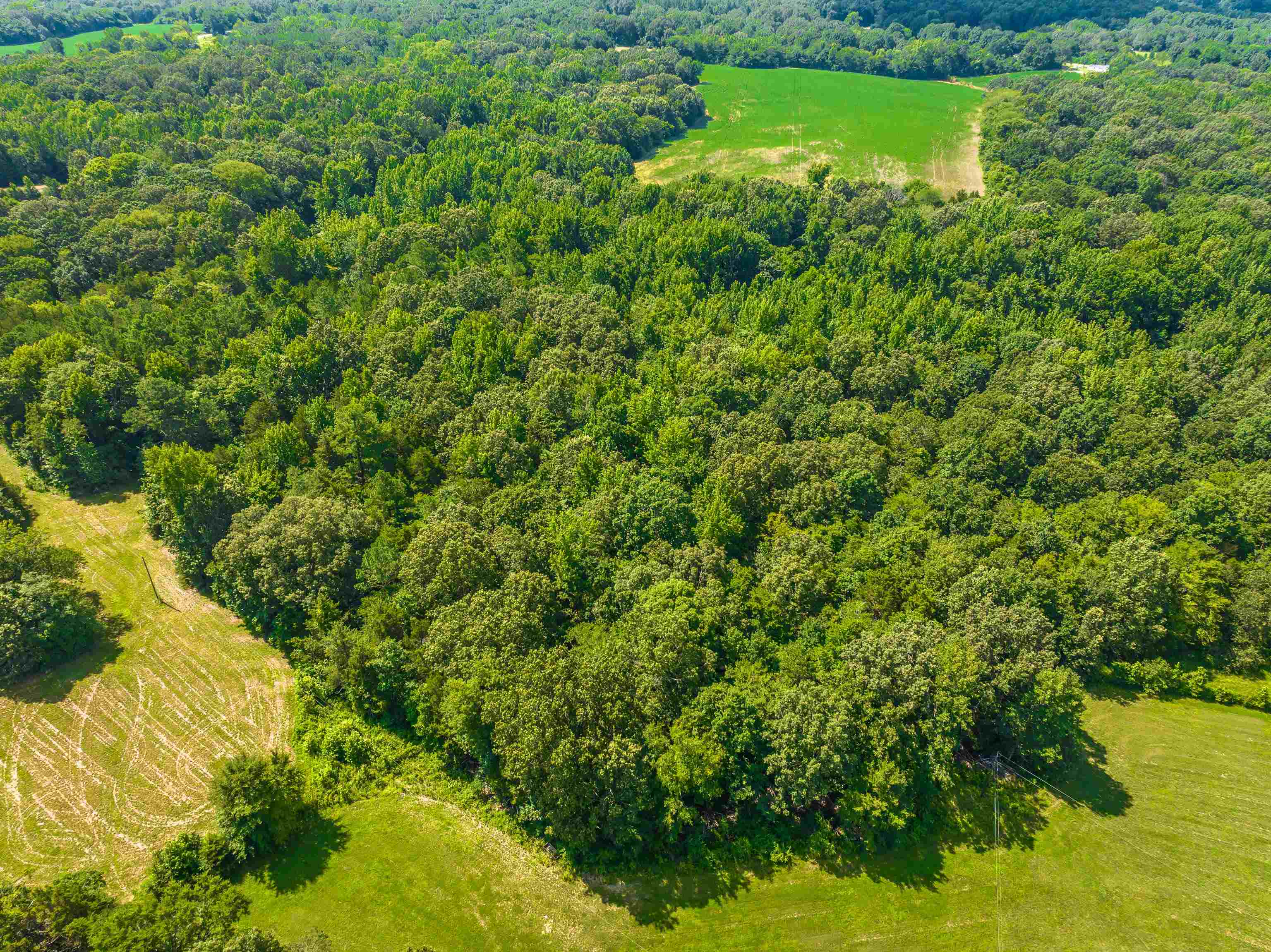 0 Jim Hardister Road Whiteville, TN 38075 - Photo 17 of 22