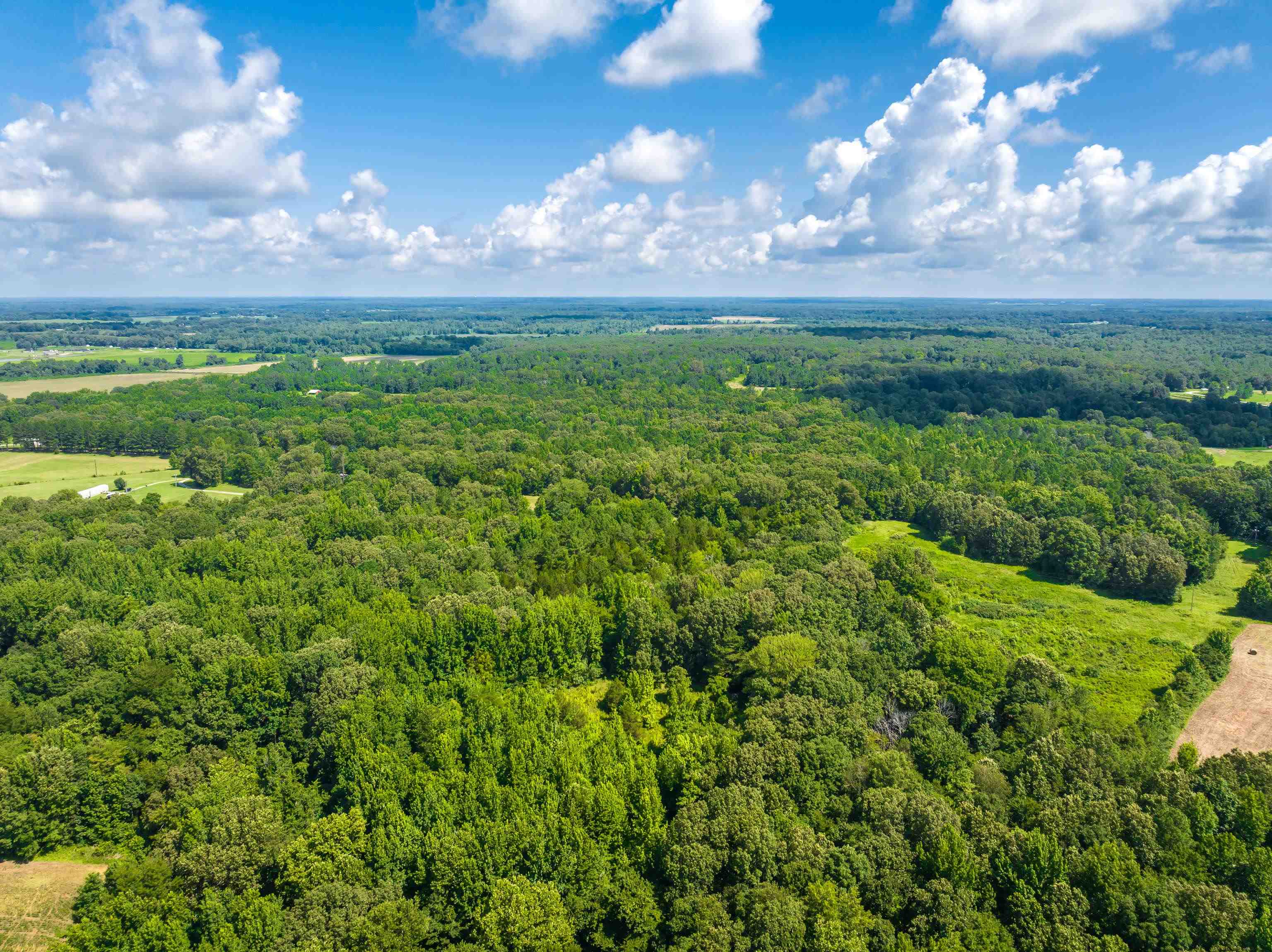 0 Jim Hardister Road Whiteville, TN 38075 - Photo 18 of 22