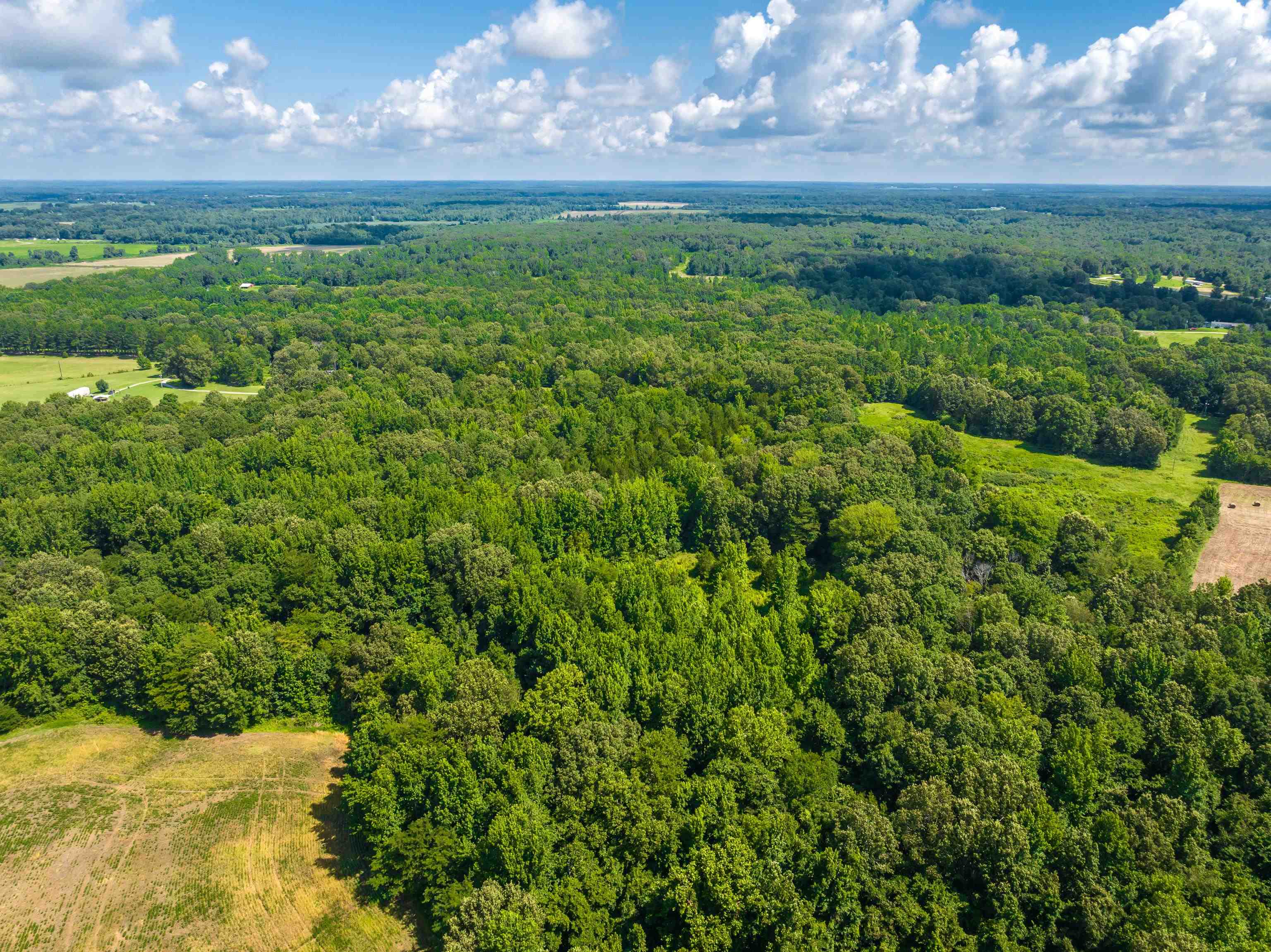 0 Jim Hardister Road Whiteville, TN 38075 - Photo 19 of 22