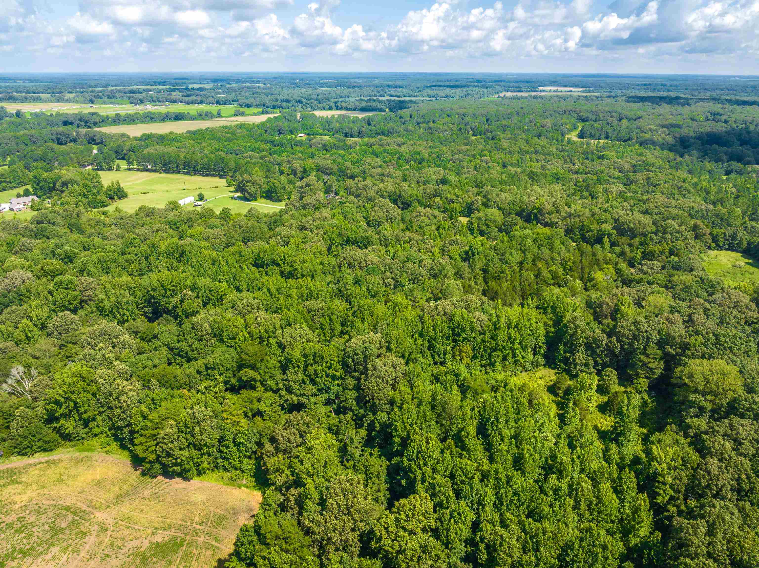 0 Jim Hardister Road Whiteville, TN 38075 - Photo 20 of 22