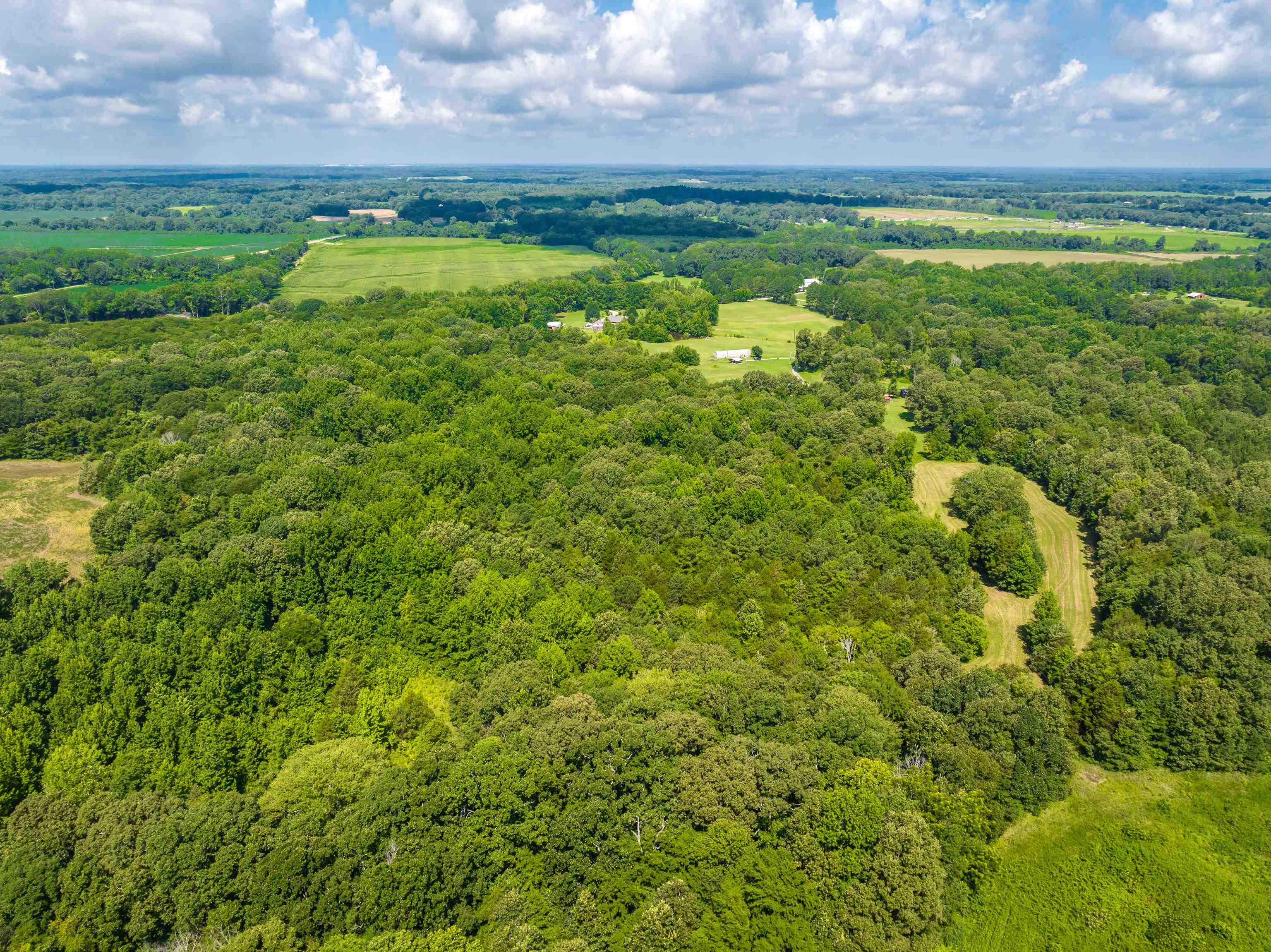 0 Jim Hardister Road Whiteville, TN 38075 - Photo 21 of 22