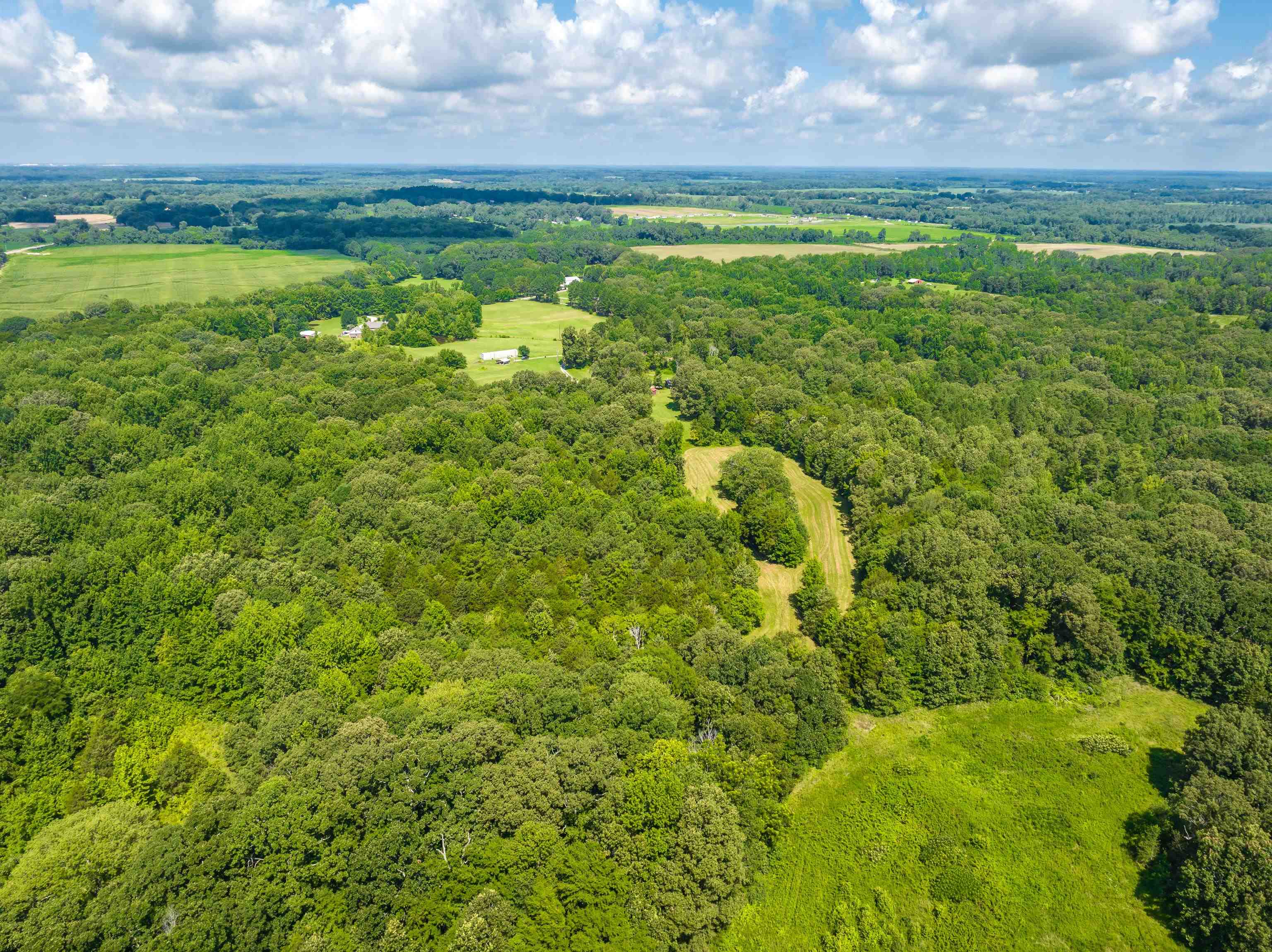 0 Jim Hardister Road Whiteville, TN 38075 - Photo 22 of 22