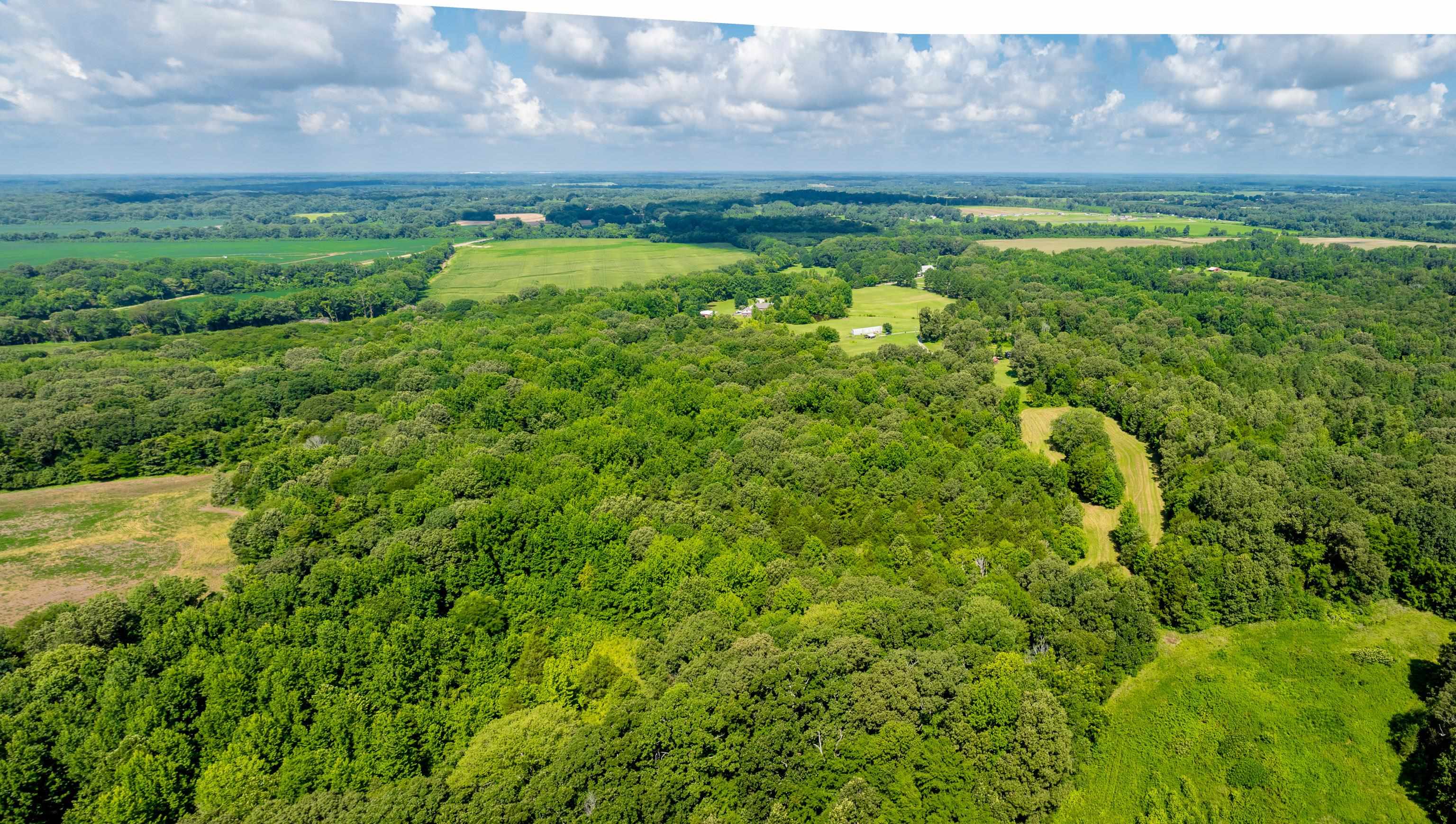 0 Jim Hardister Road Whiteville, TN 38075 - Photo 4 of 22