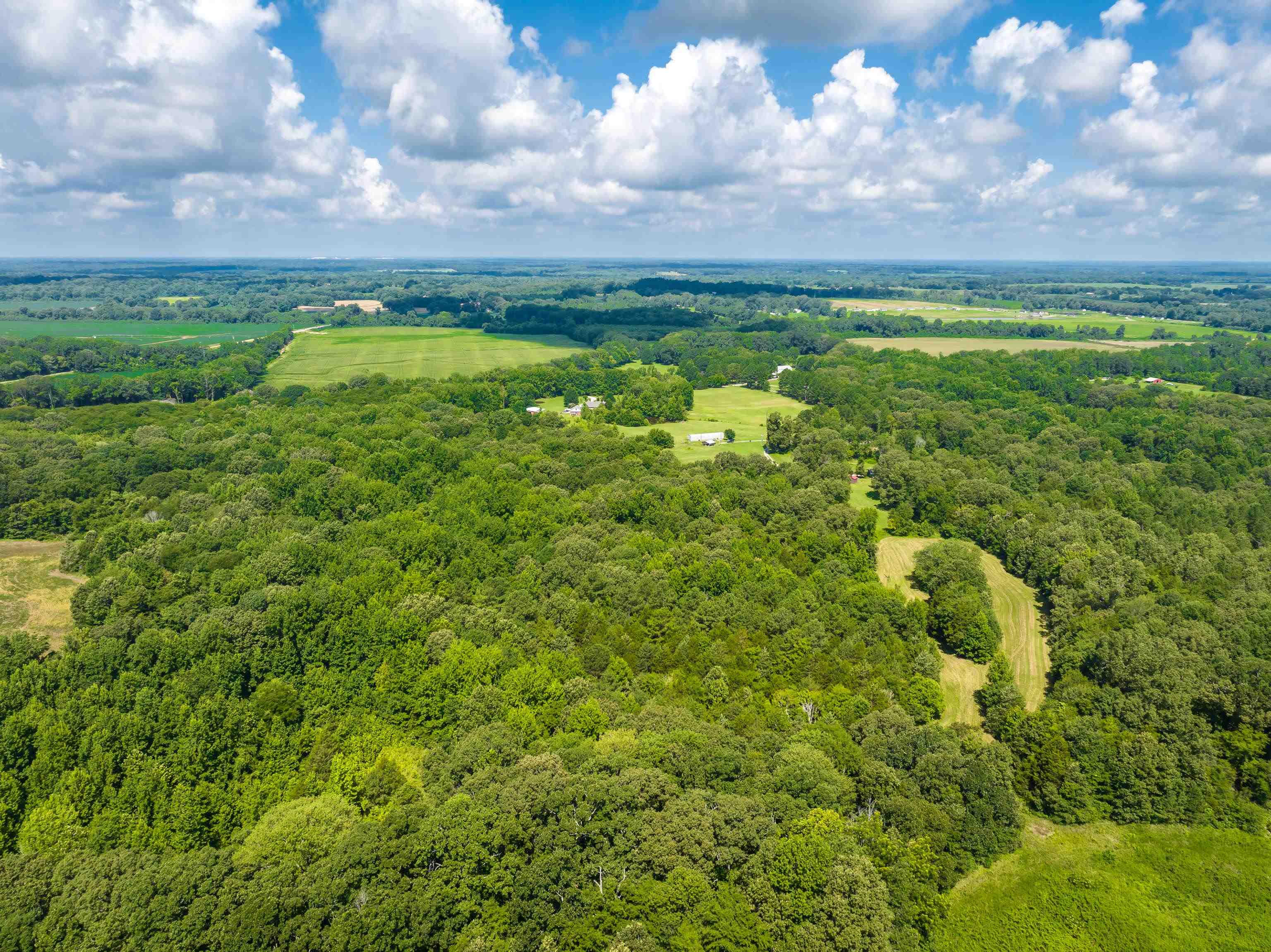 0 Jim Hardister Road Whiteville, TN 38075 - Photo 5 of 22