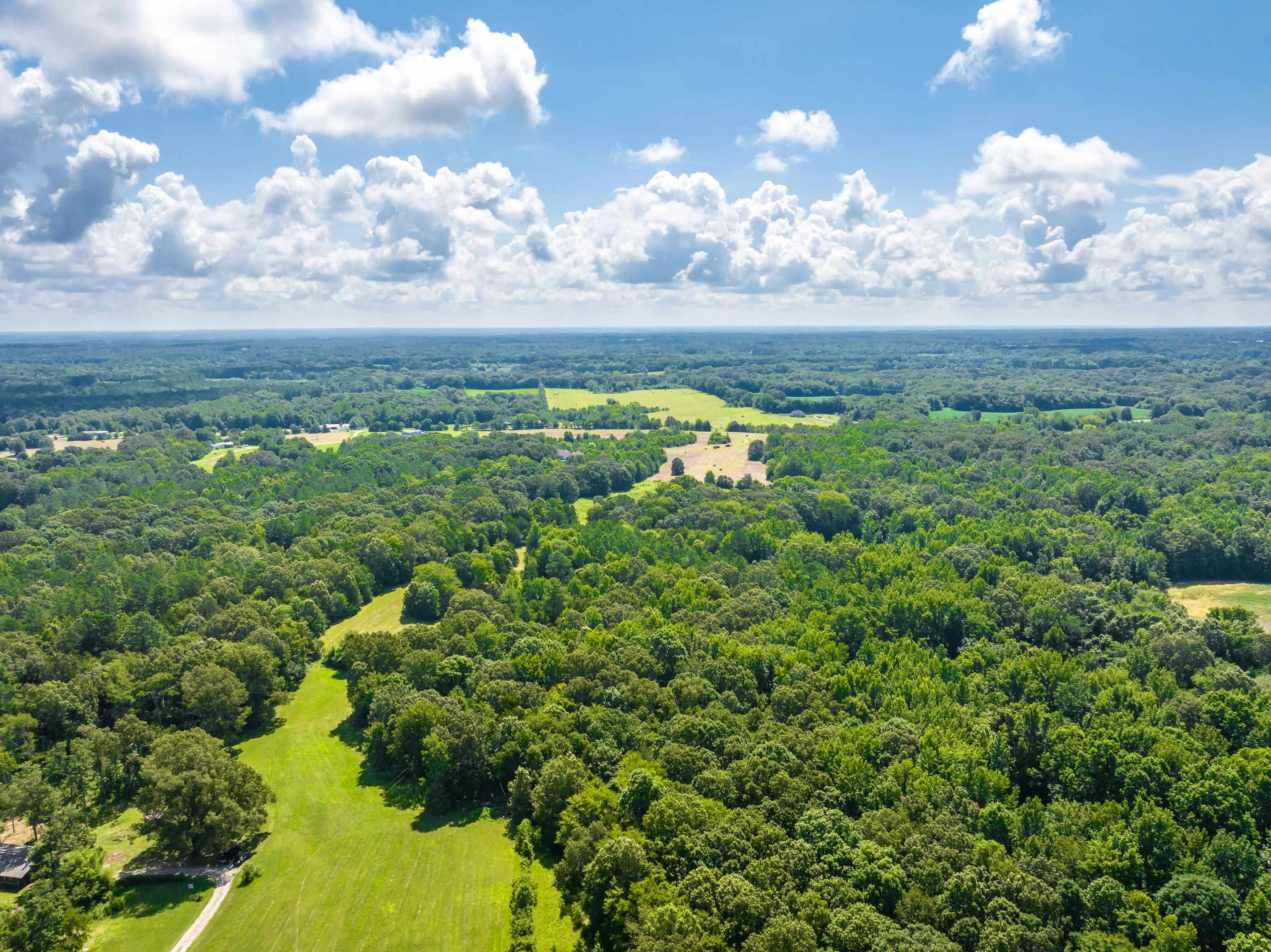 0 Jim Hardister Road Whiteville, TN 38075 - Photo 6 of 22