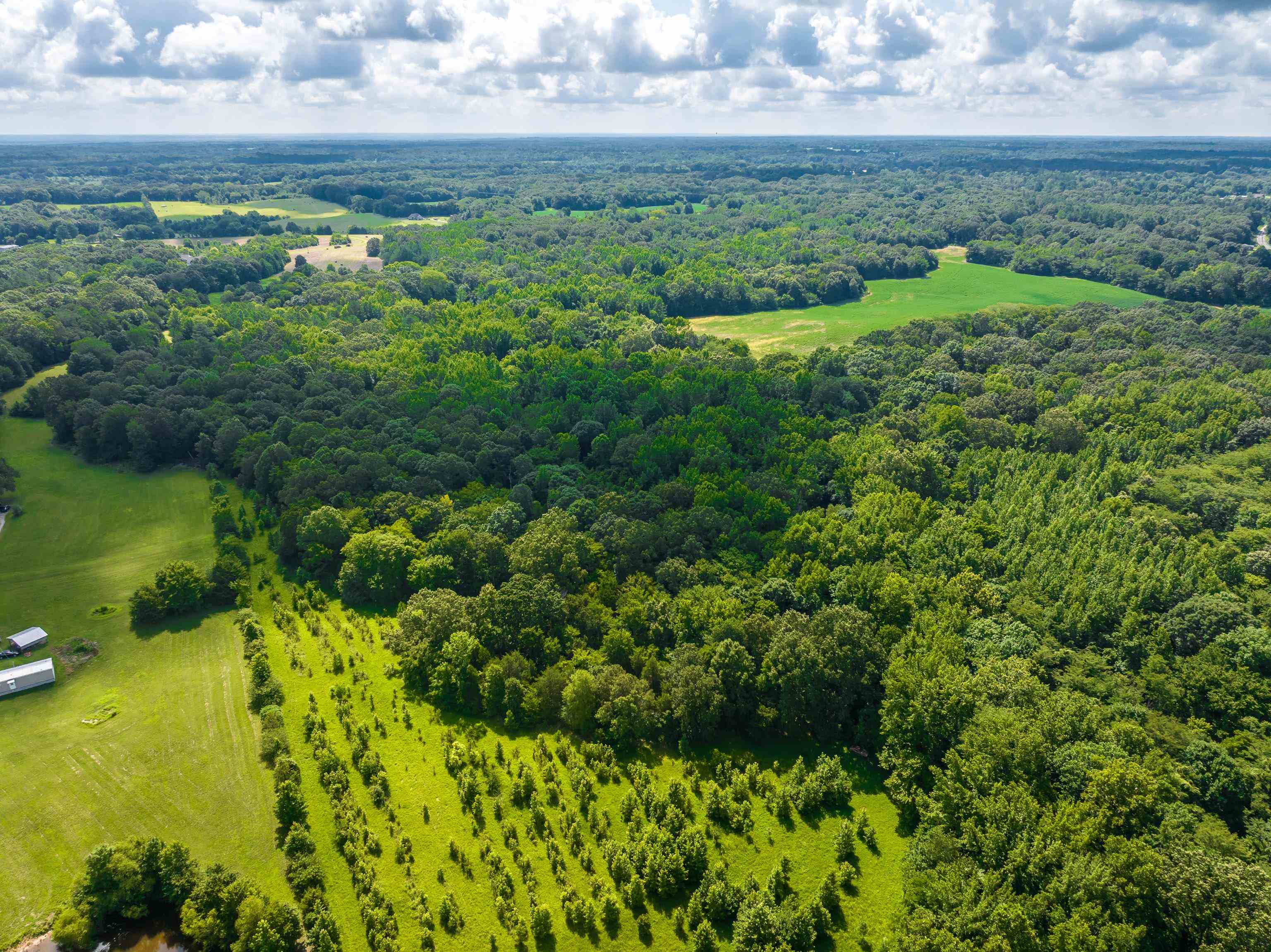 0 Jim Hardister Road Whiteville, TN 38075 - Photo 7 of 22