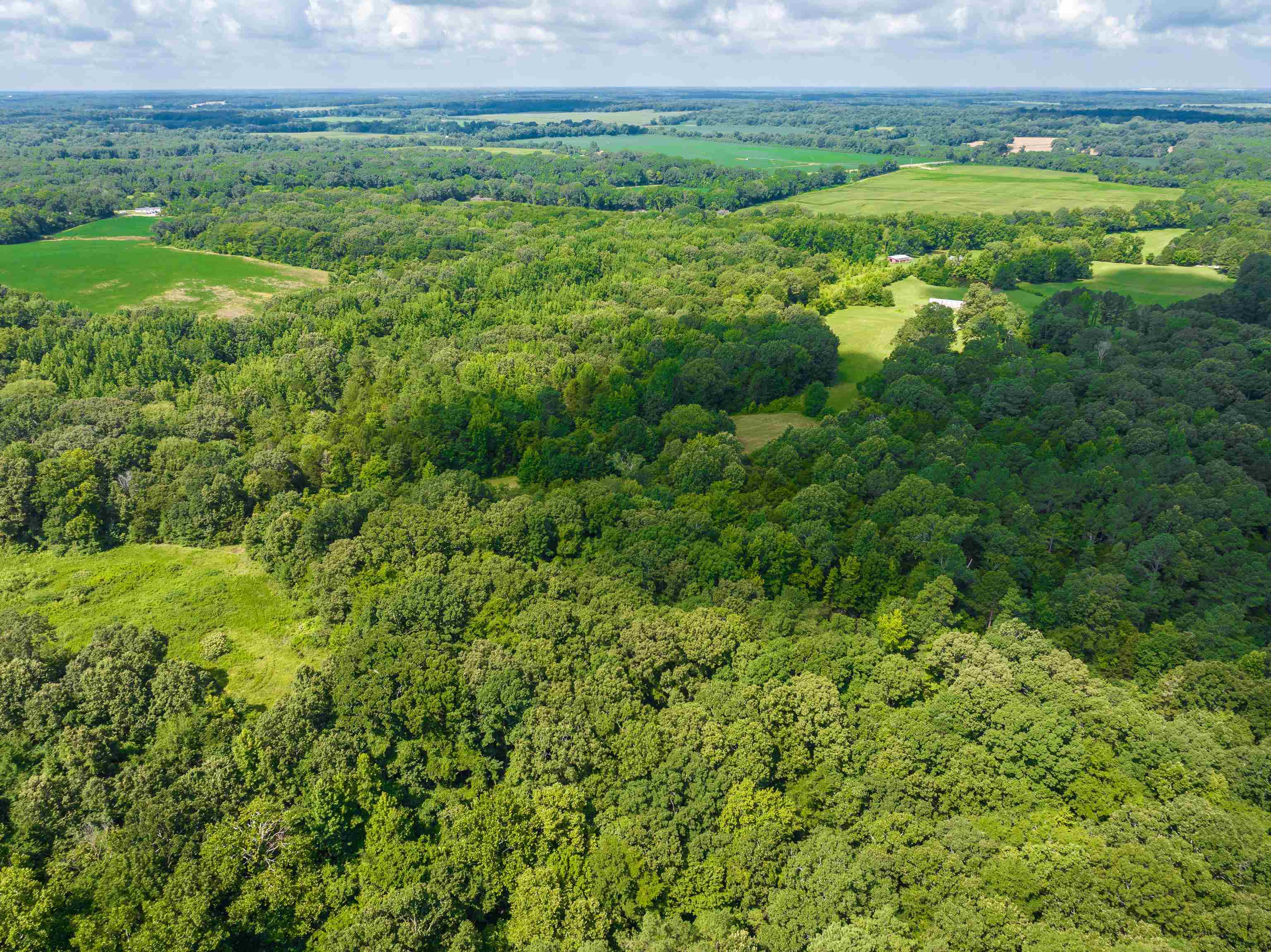 0 Jim Hardister Road Whiteville, TN 38075 - Photo 9 of 22