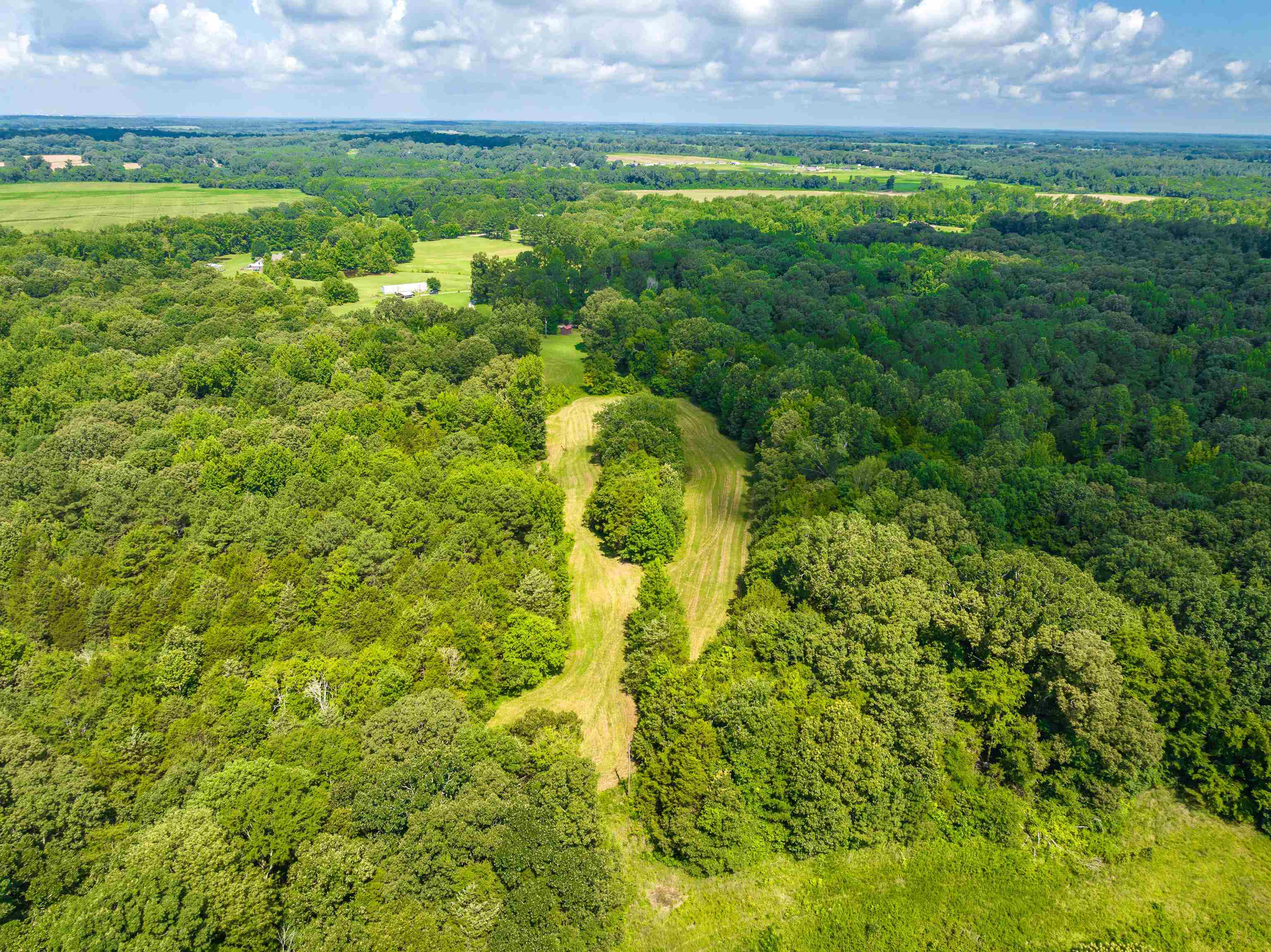 0 Jim Hardister Road Whiteville, TN 38075 - Photo 10 of 22