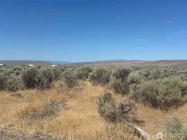 a view of a city with lush green forest