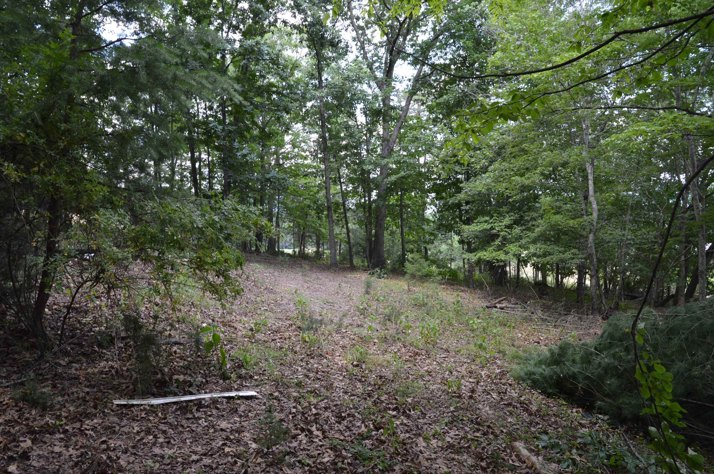 Tbd Paris Mountain Road Elliston, VA 24087 - Photo 6 of 11 Gallery Image 6
