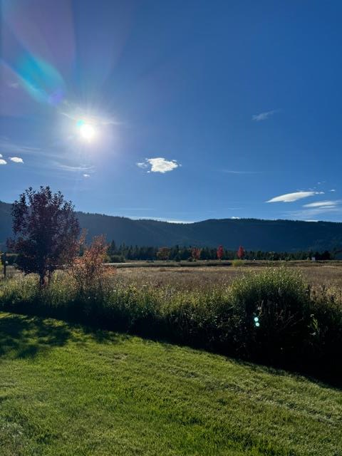 35 Moore Road Donnelly, ID 83615 - Photo 62 of 68