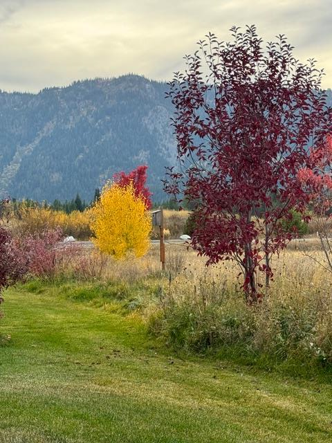 35 Moore Road Donnelly, ID 83615 - Photo 64 of 68