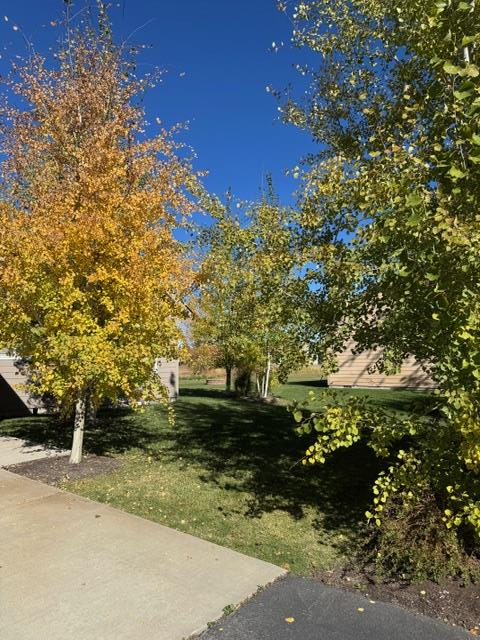 35 Moore Road Donnelly, ID 83615 - Photo 67 of 68