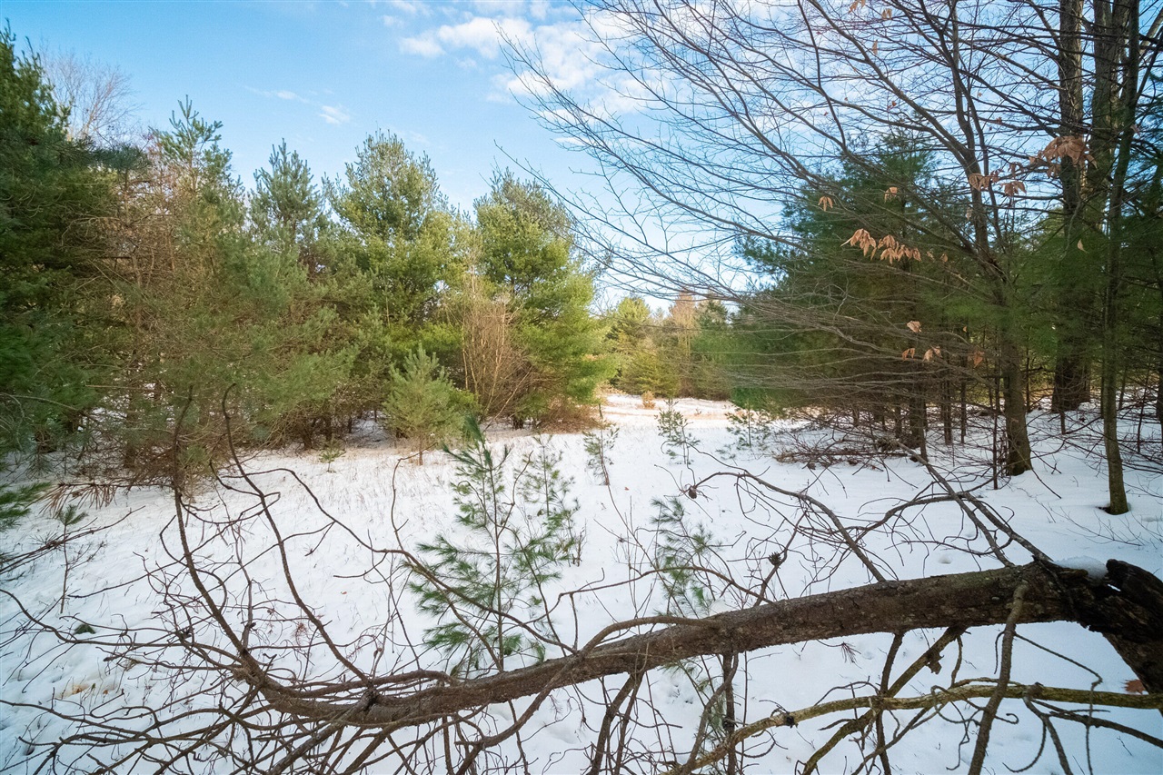 0 Erdman Road Onekama, MI 49675 - Photo 58 of 69 Gallery Image 58