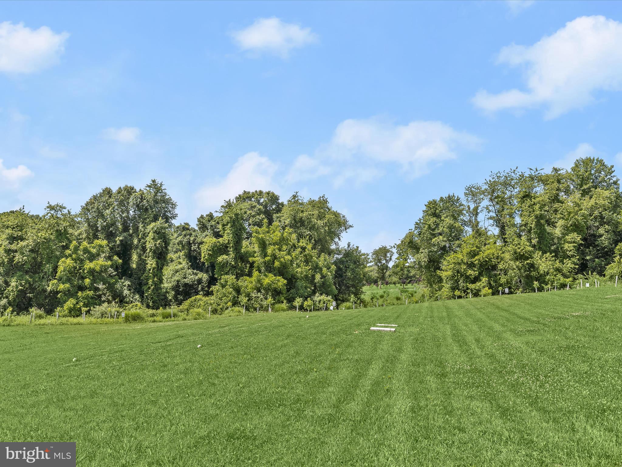 15675 Dover Road Upperco, MD 21155 - Photo 67 of 80 Rear Lawn Fringed with Trees