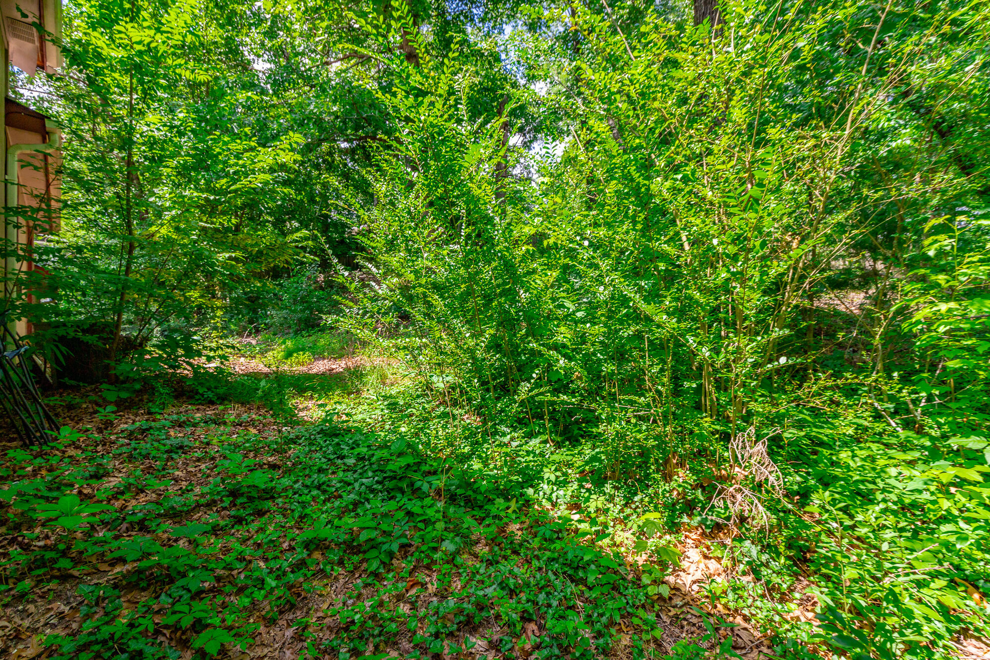 1315 Coffelt Road Hixson, TN 37343 - Photo 49 of 55 1315 Coffelt Road HD-48