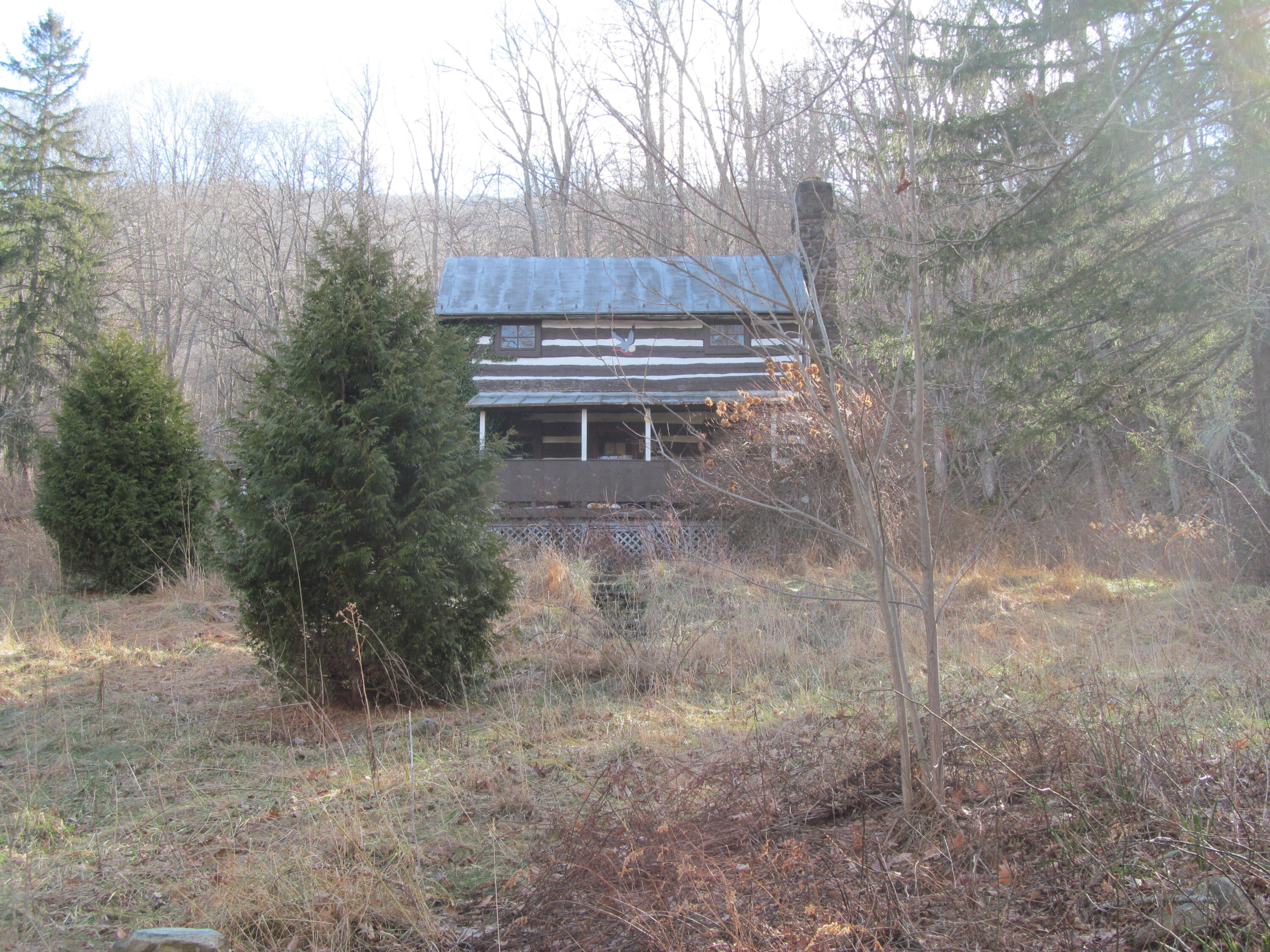 a backyard of a house with trees and wooden fence