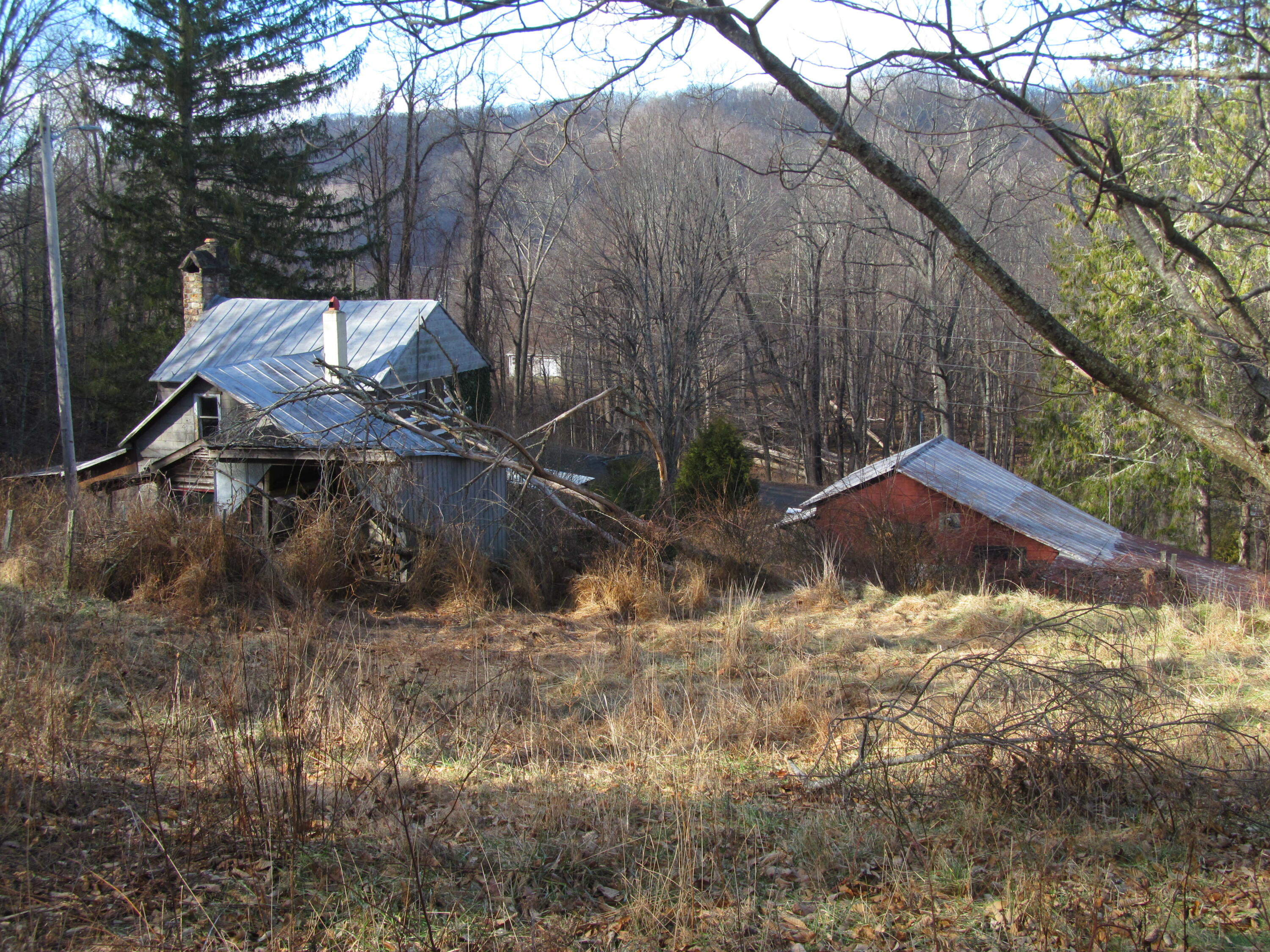 574 Grandview Road Hot Springs, VA 24445 - Photo 11 of 15 a backyard of a house with lots of green space
