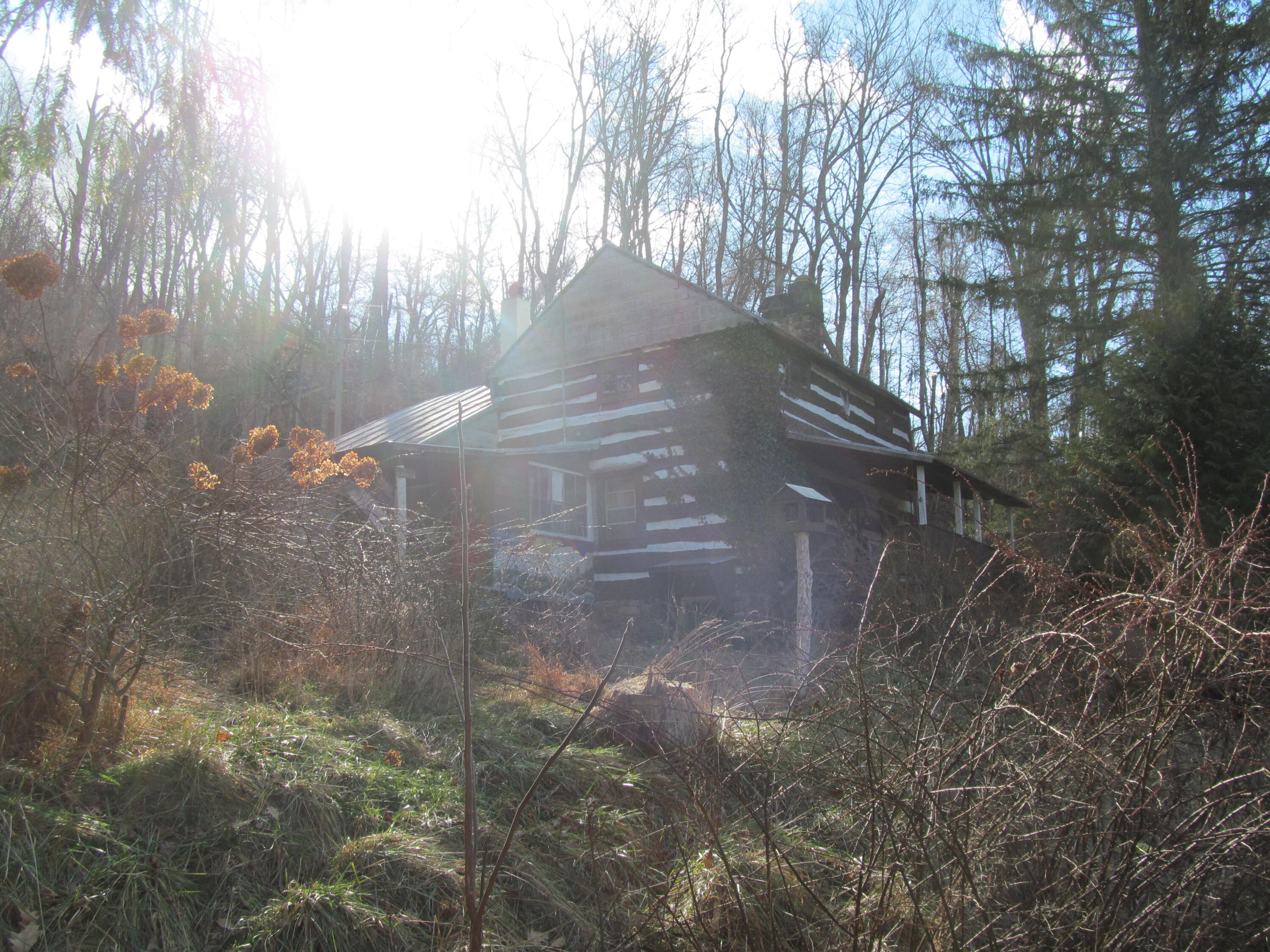 574 Grandview Road Hot Springs, VA 24445 - Photo 13 of 15 a backyard of a house