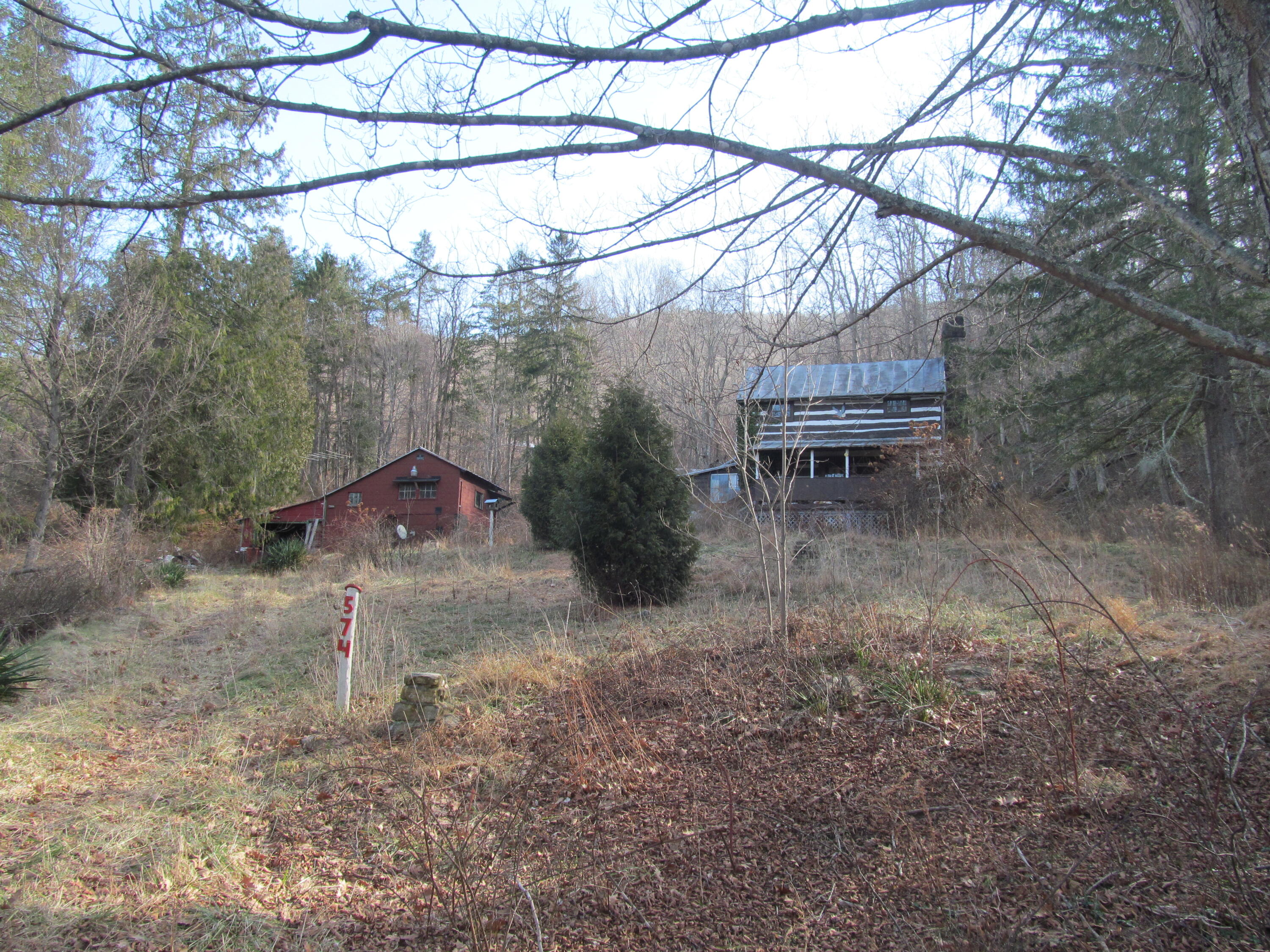 574 Grandview Road Hot Springs, VA 24445 - Photo 15 of 15 a view of a house with a yard