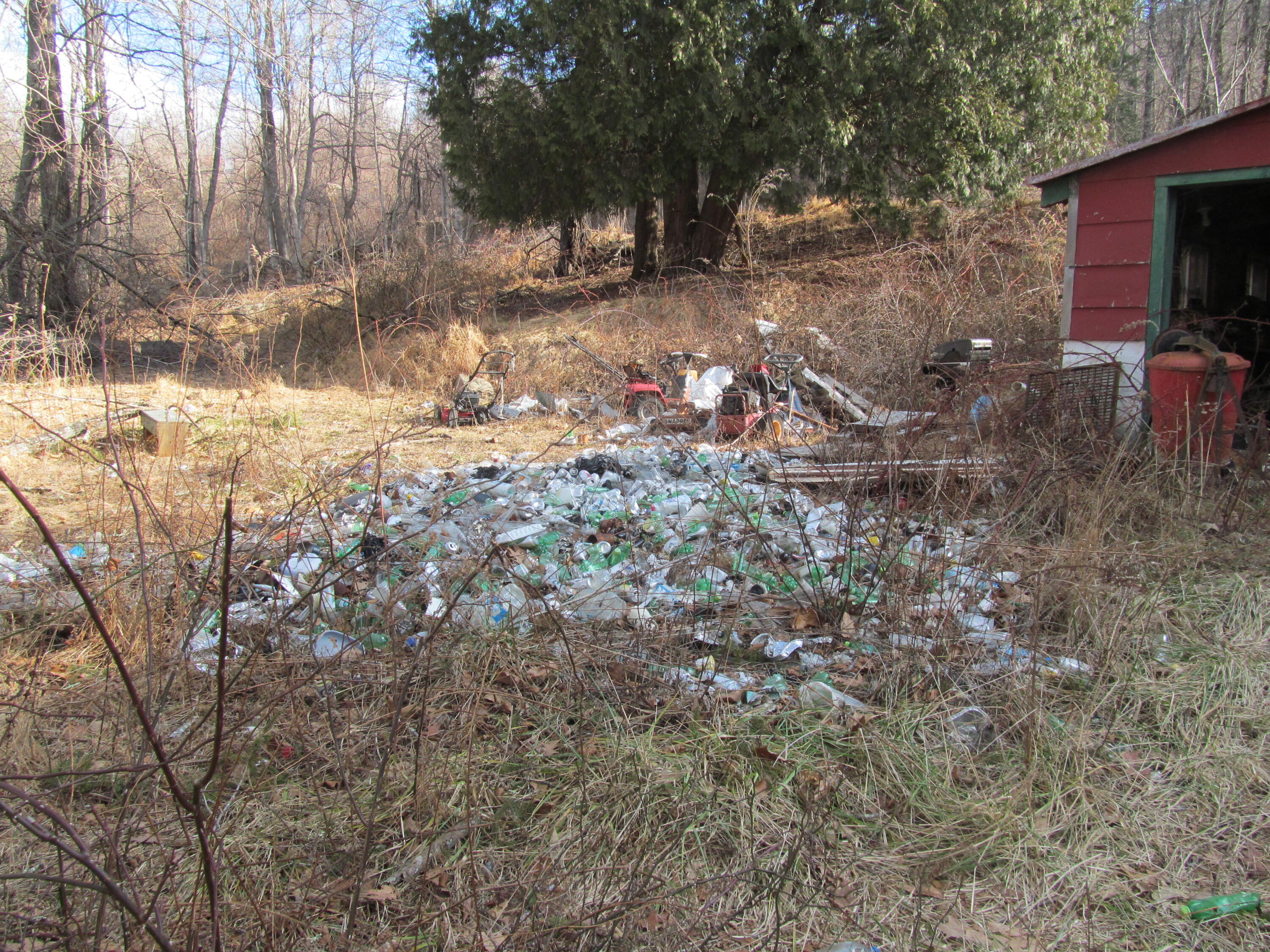 574 Grandview Road Hot Springs, VA 24445 - Photo 4 of 15 a backyard of a house with lots of green space
