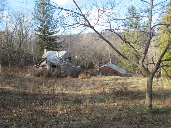 a backyard of a house with table and chairs under a large tree
